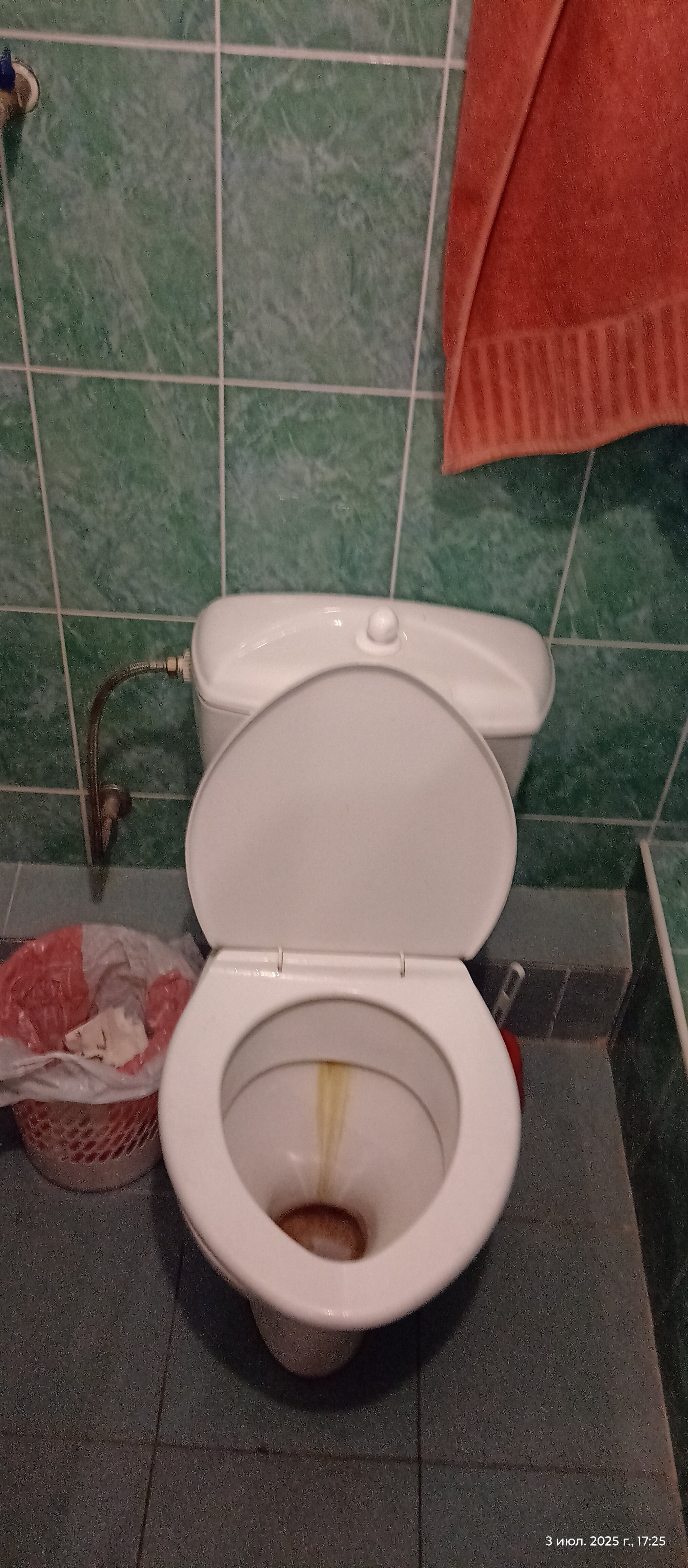 Фото Камелия