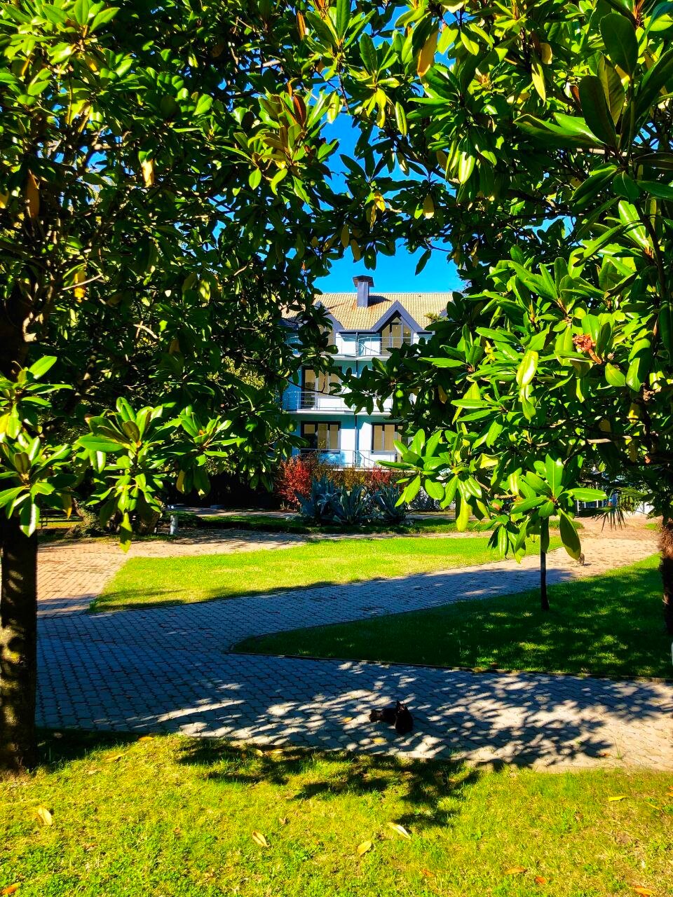 Фото Апартаменты Saltykov Agoy Resort