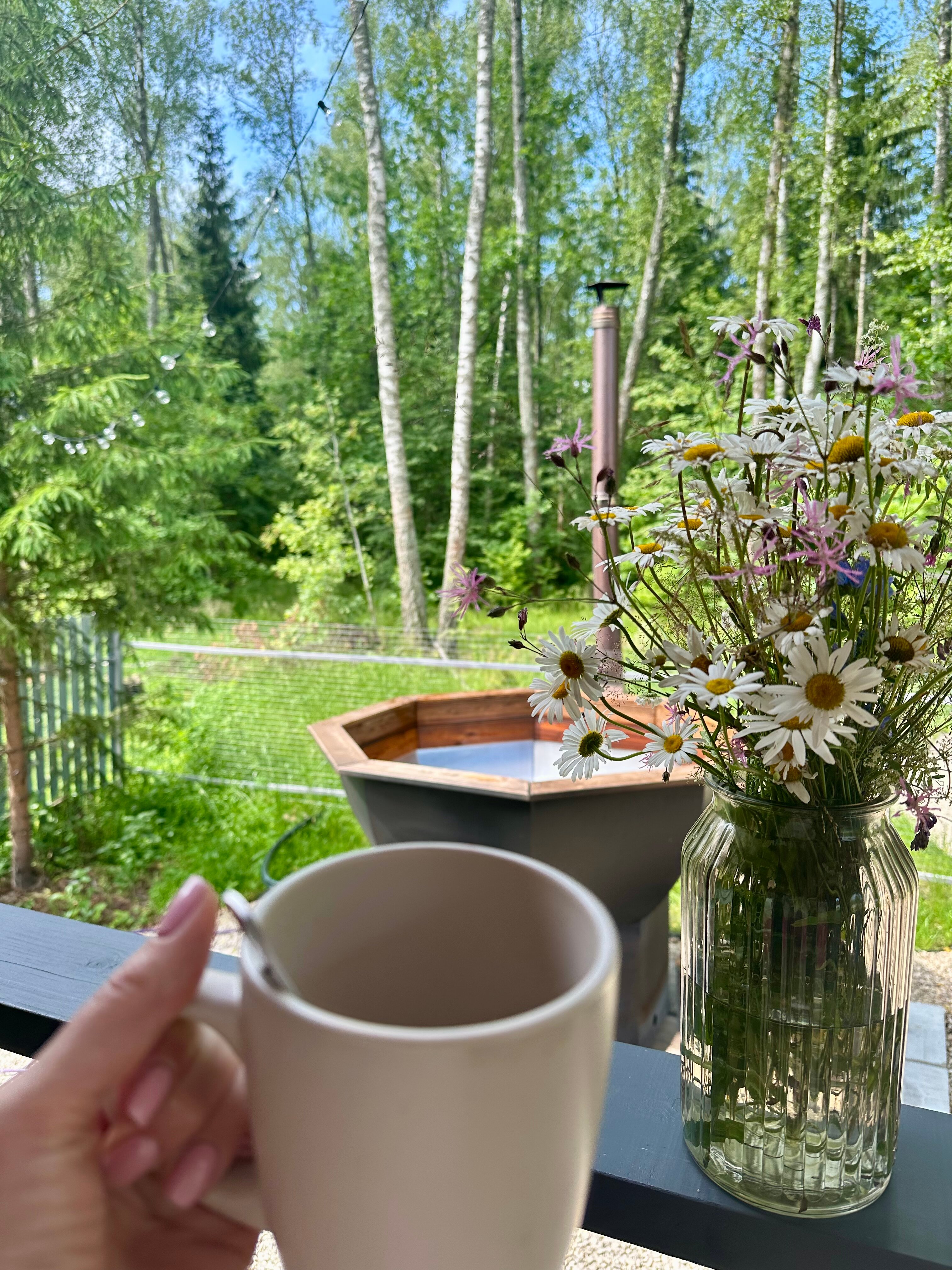 Фото У леса