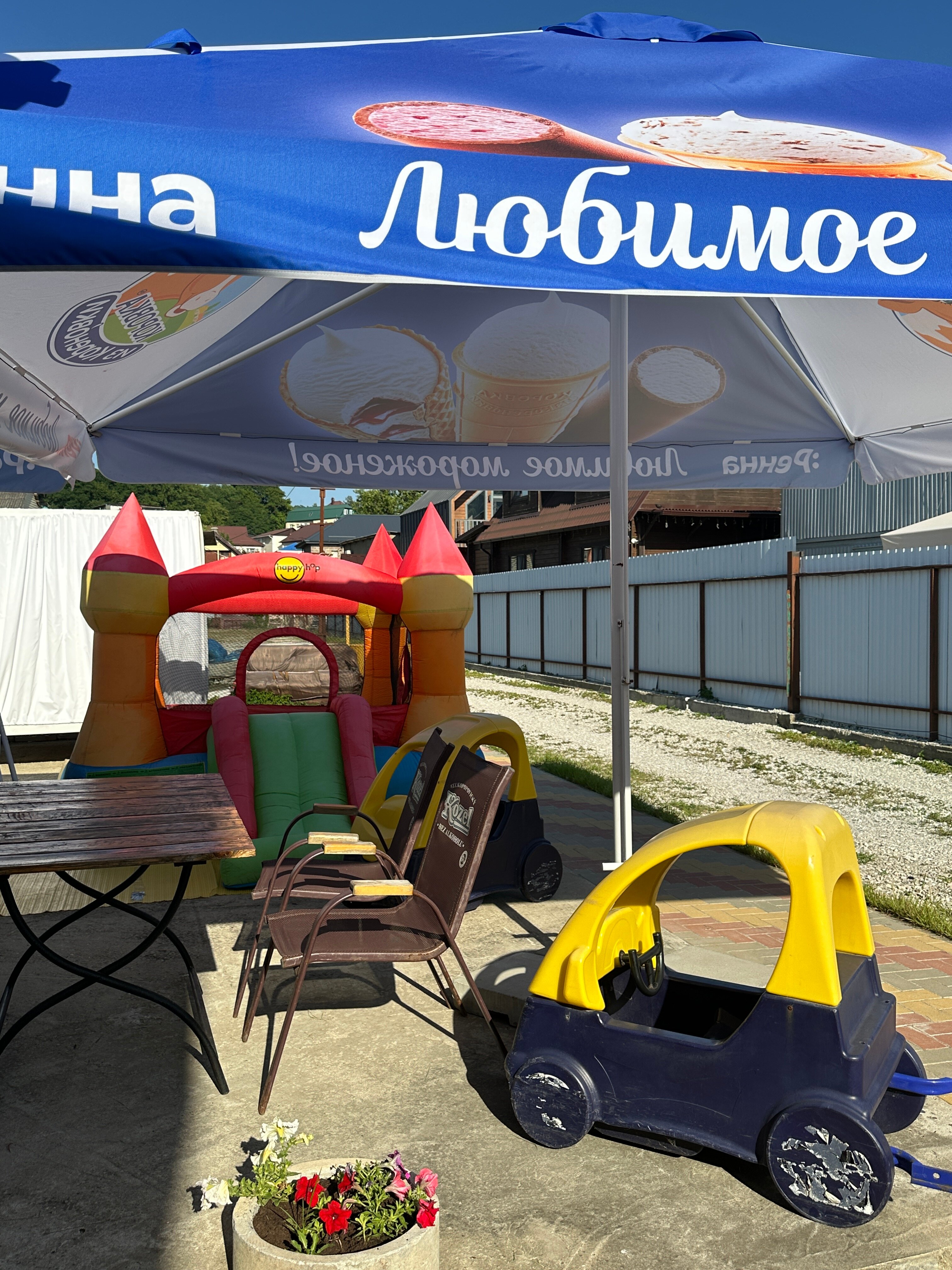 Фото Белый медведь