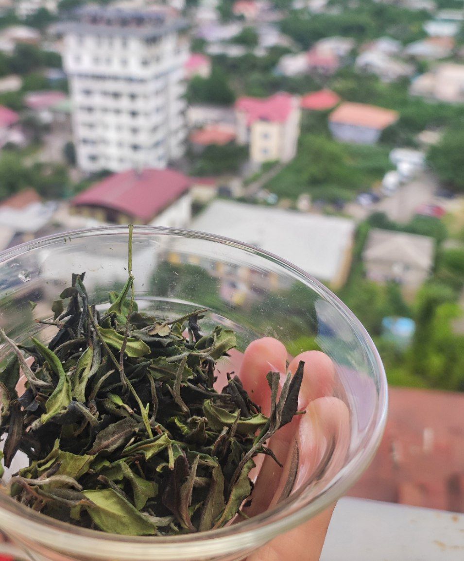 Фото Reed Hotel Tbilisi