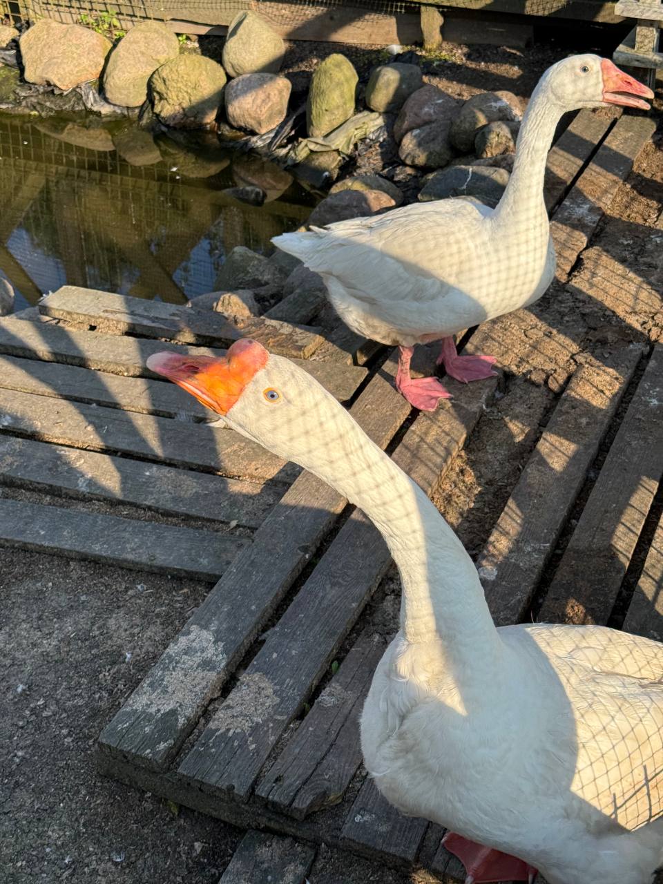 Фото Зюзино