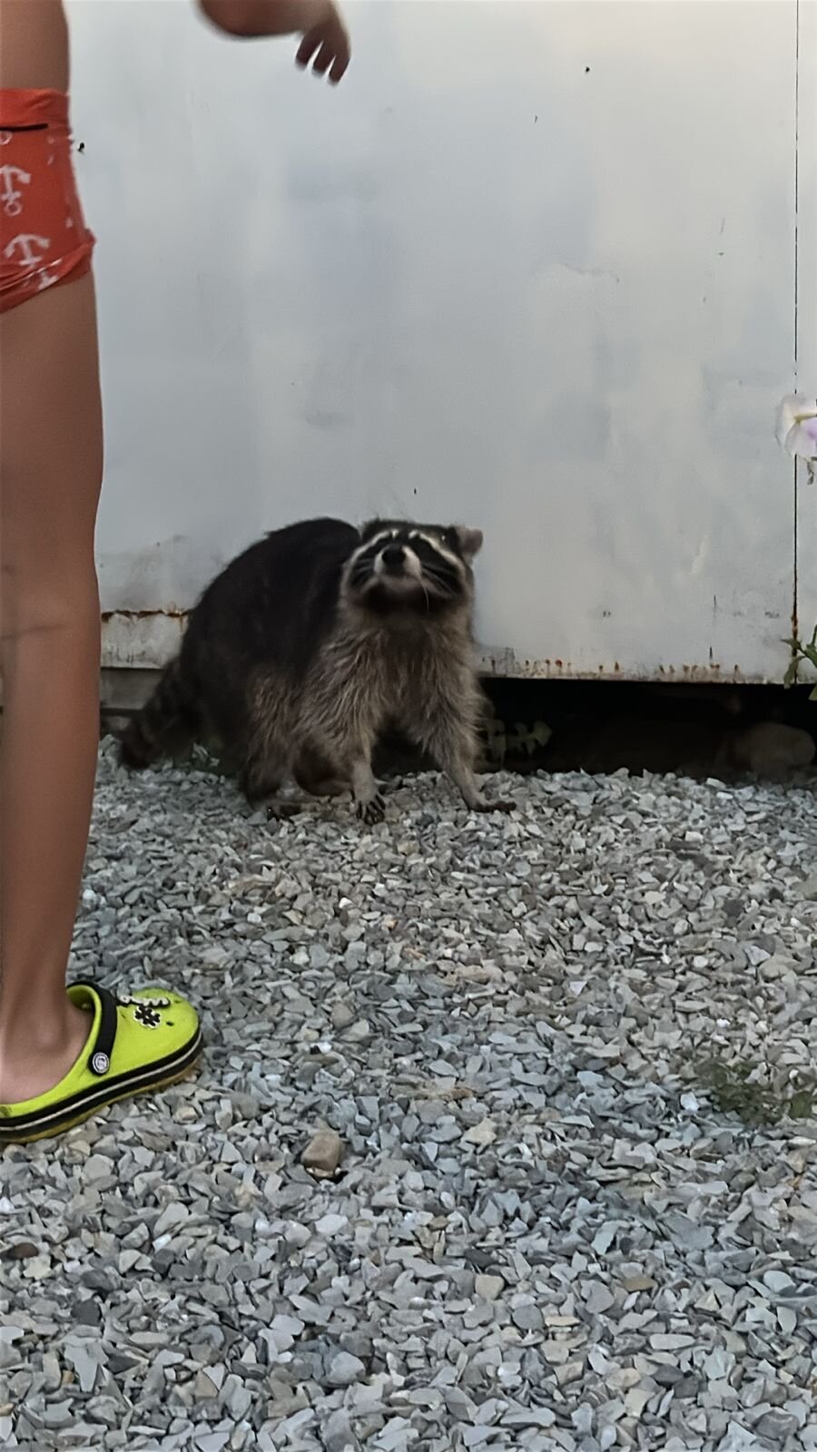 Фото Дома у моря