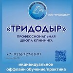 Школа клининга Тридодыр (Melnikova Street, 7с1), business school