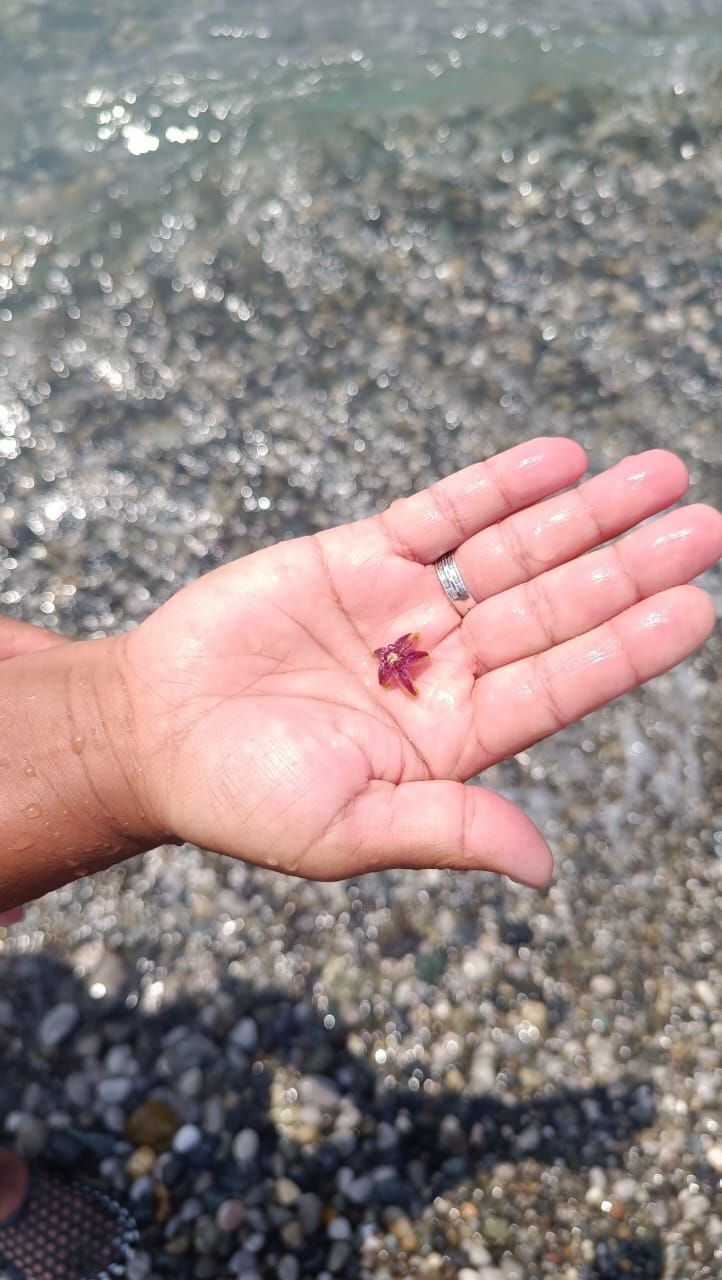 Фото Валентина