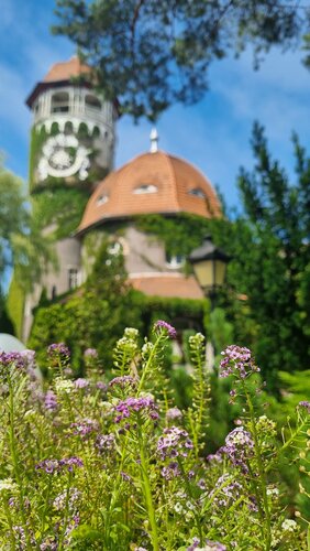 Внешний вид отеля Вилла Кенигсвальд в Светлогорске, фото 3