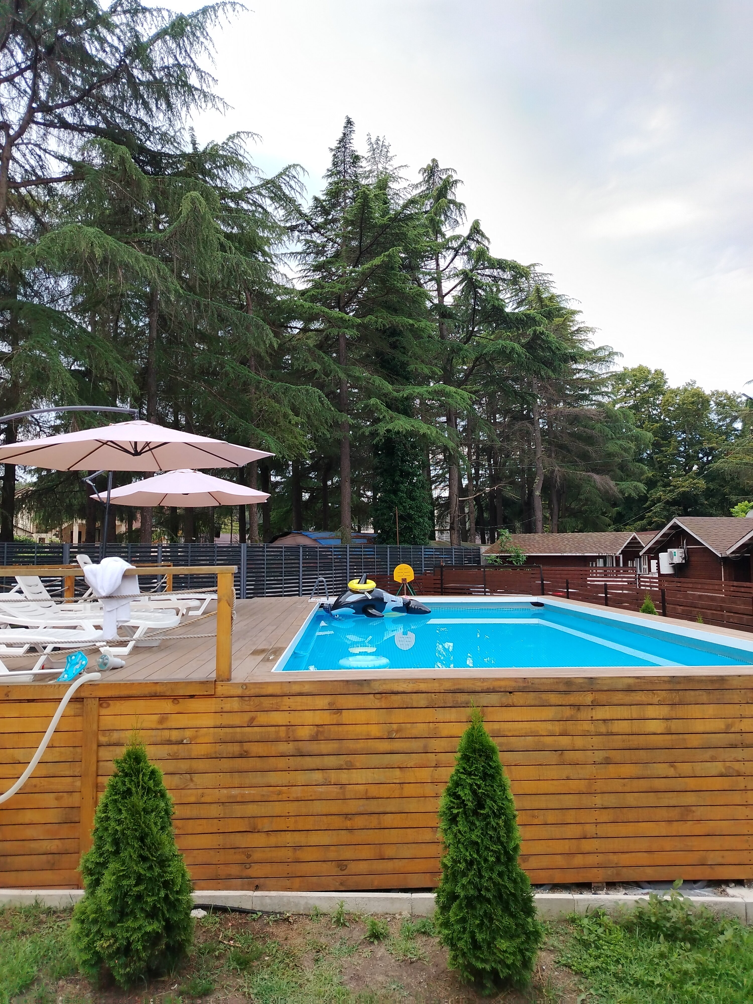 Фото Eco House Pitiunt