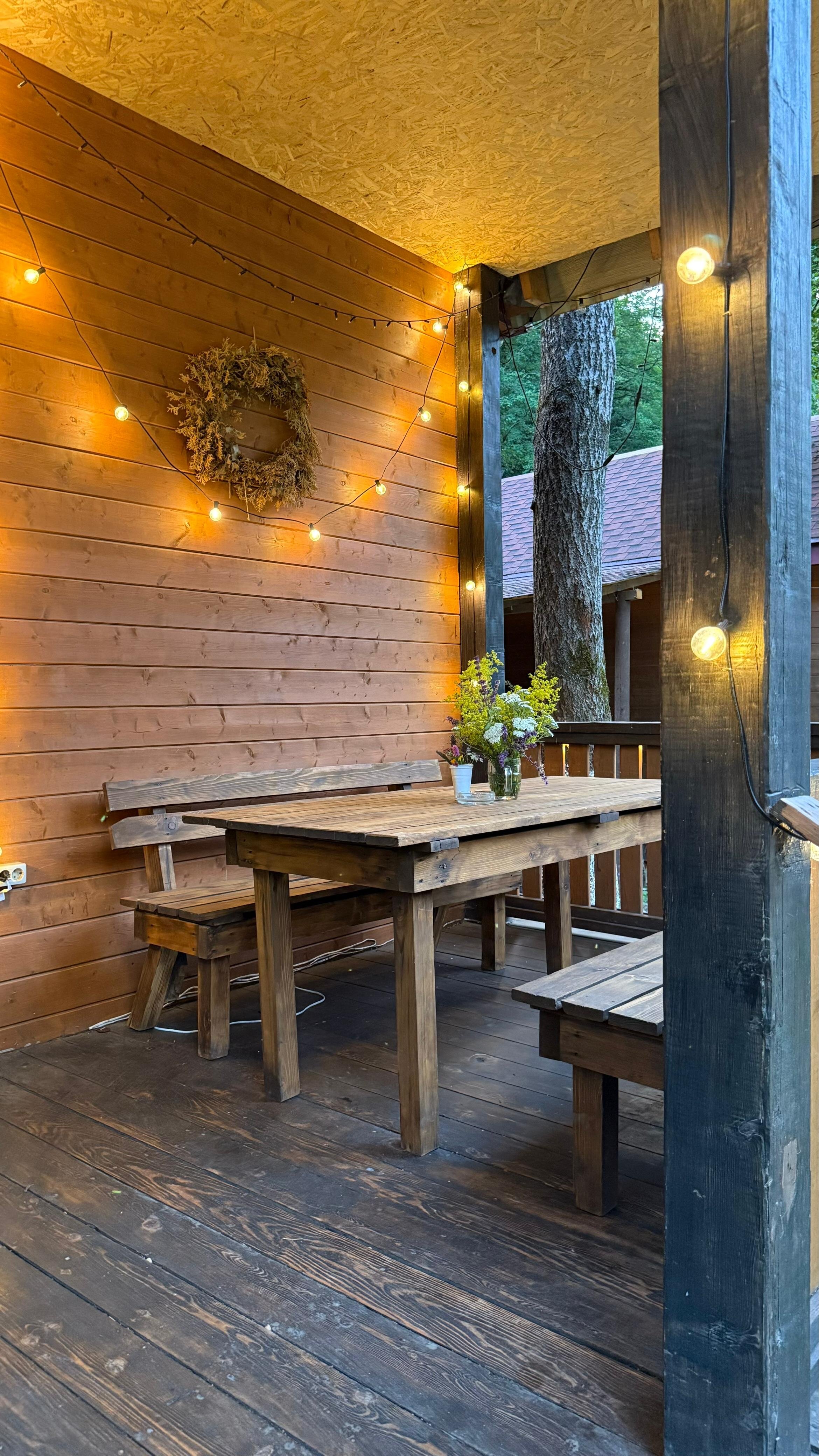 Фото Кактус Арт