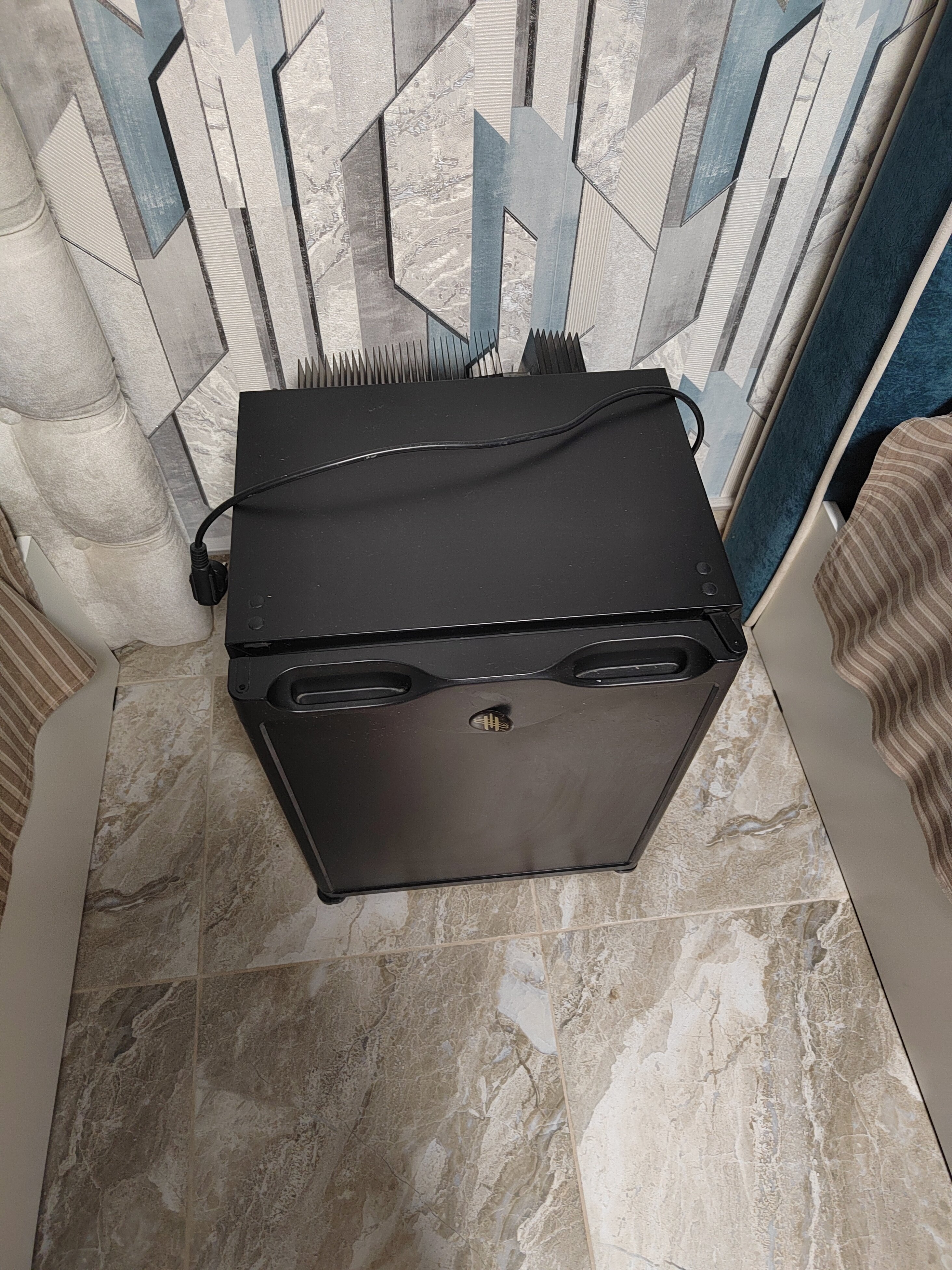 Фото Барбарис