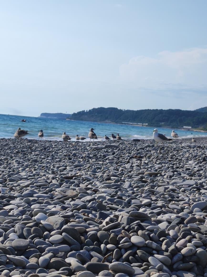 Фото Дом отдыха Лазаревский
