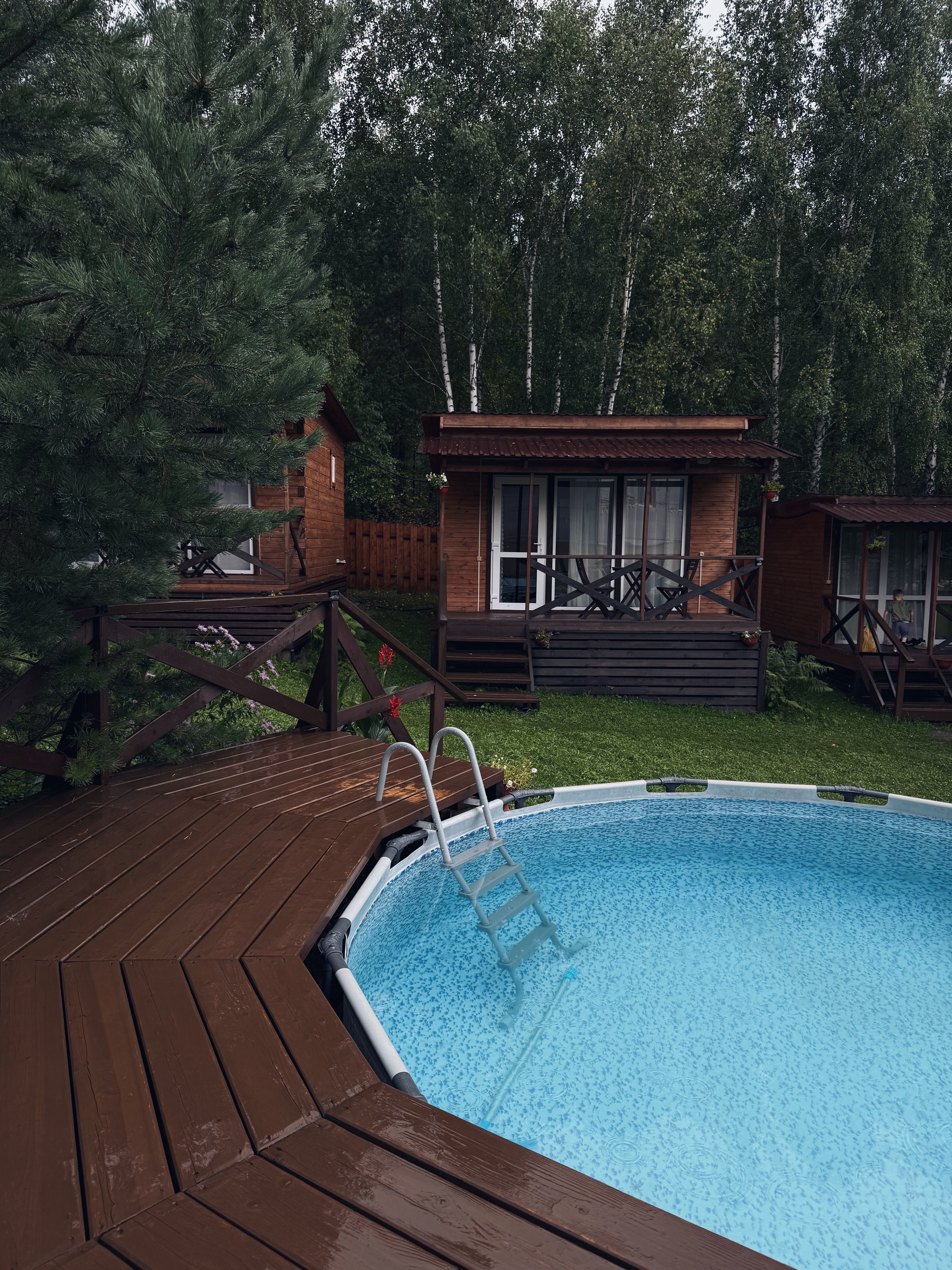 Фото Шишкин лес