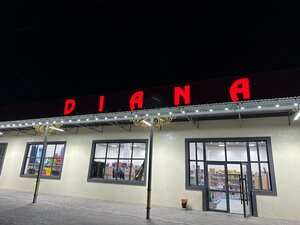 Diana (Village of Akshy, ulitsa Tastak, 54), cafe