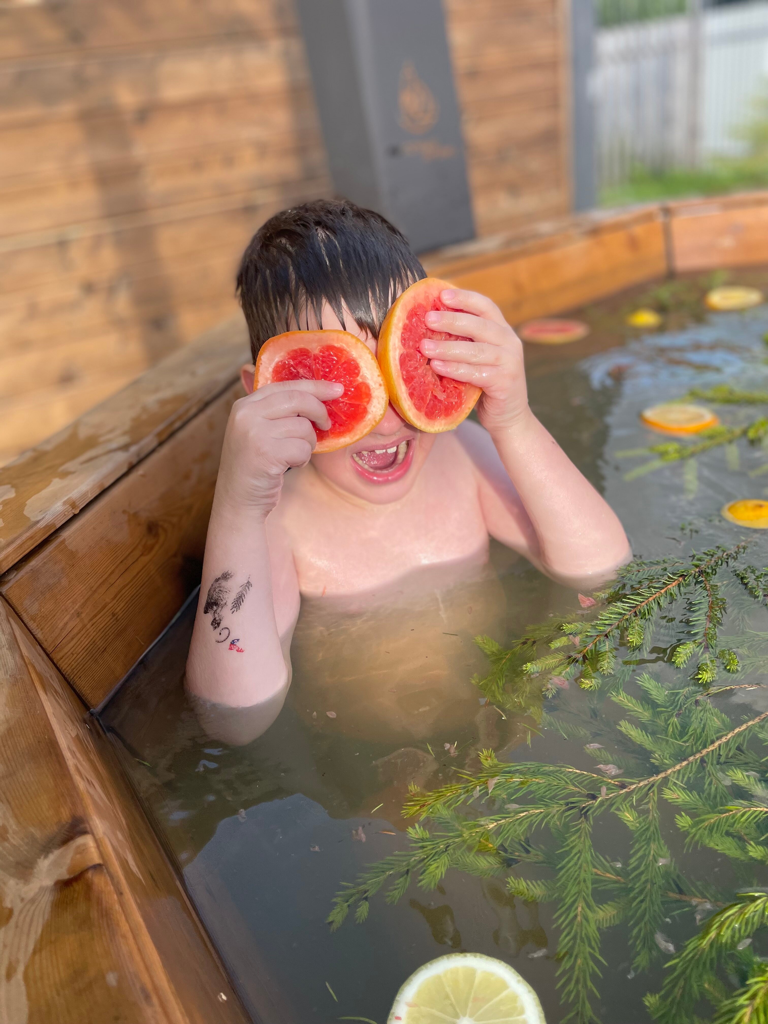 Фото Forest life