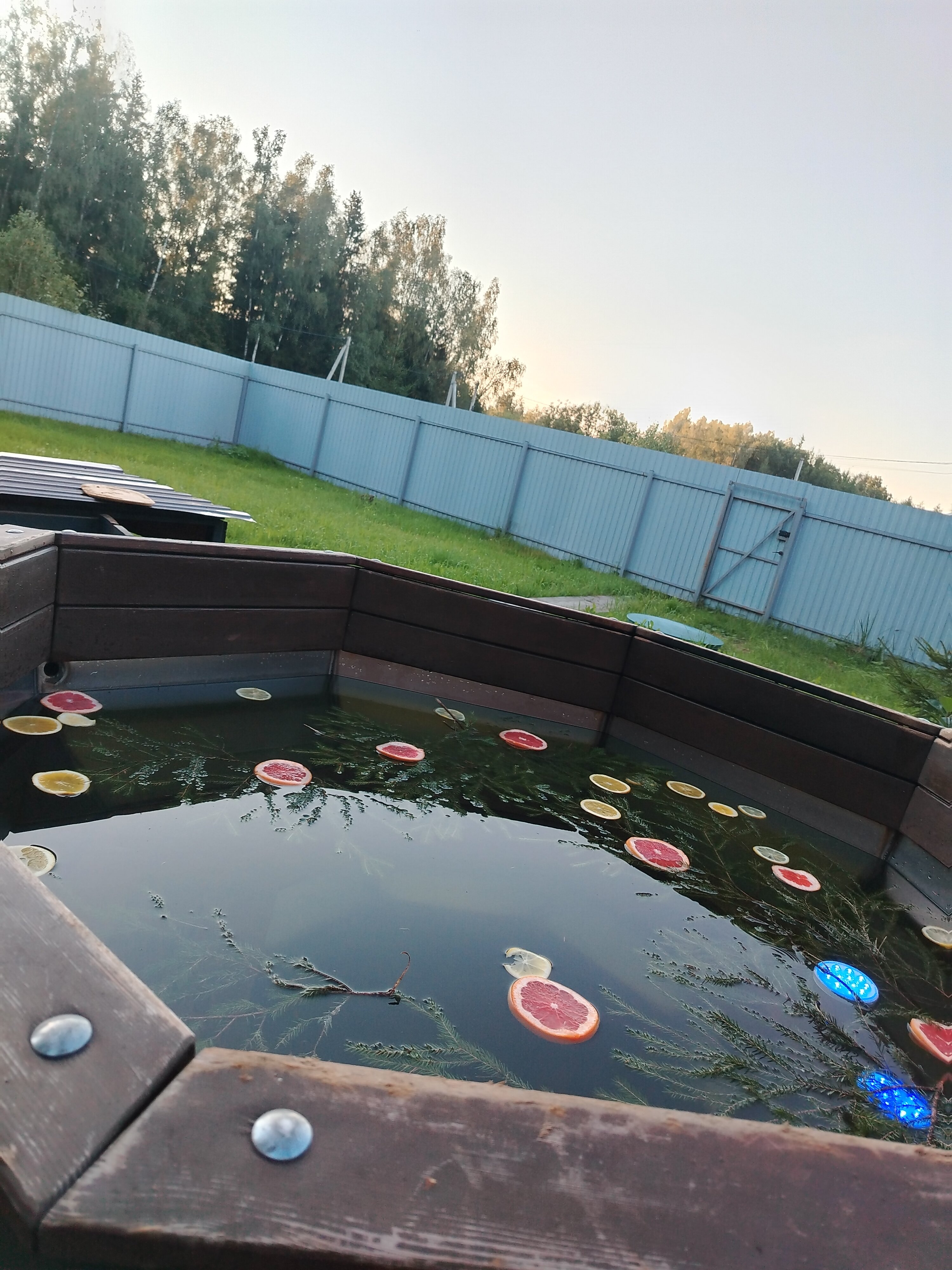 Фото Хайд Форест