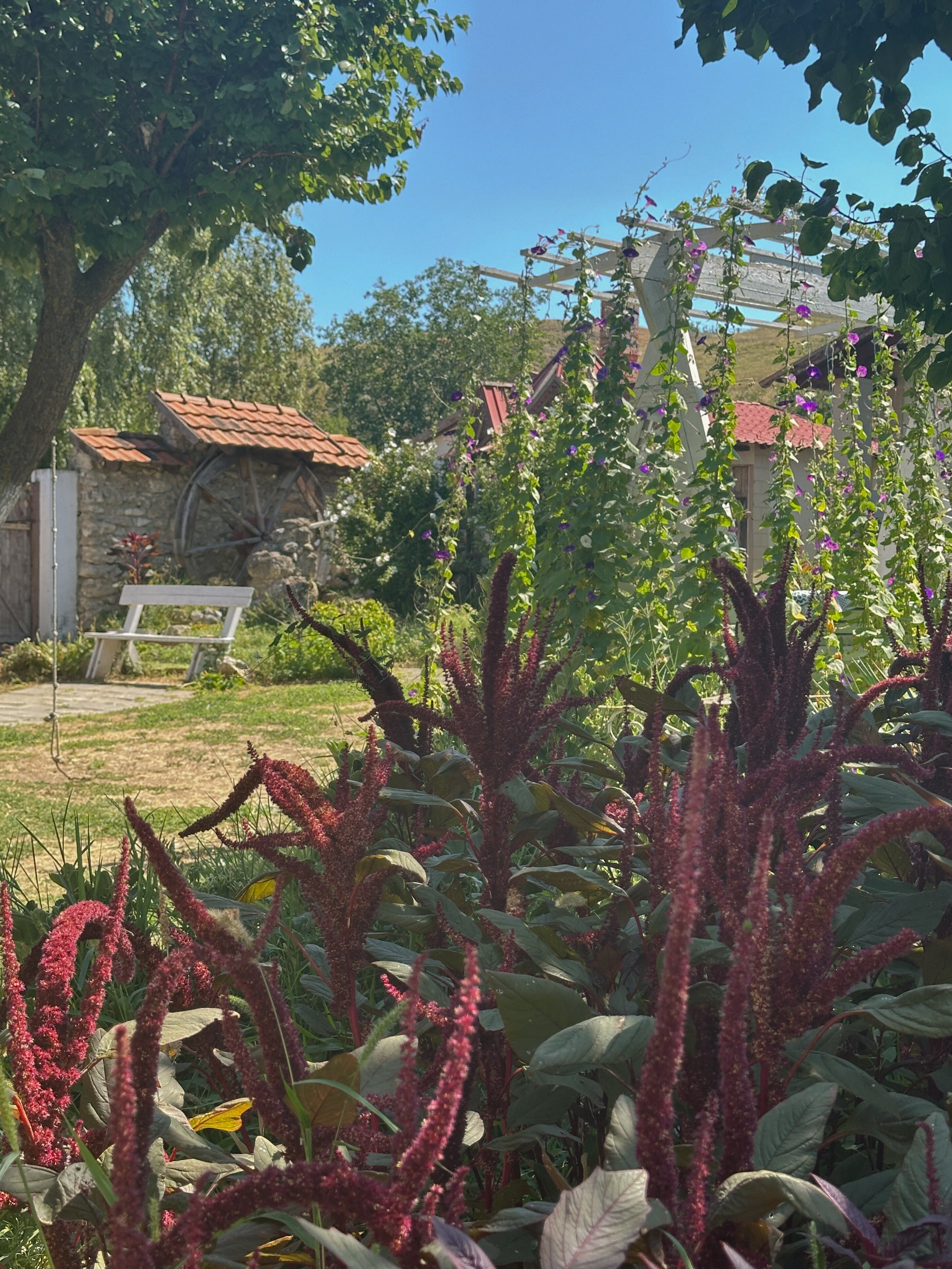 Фото Ройтош