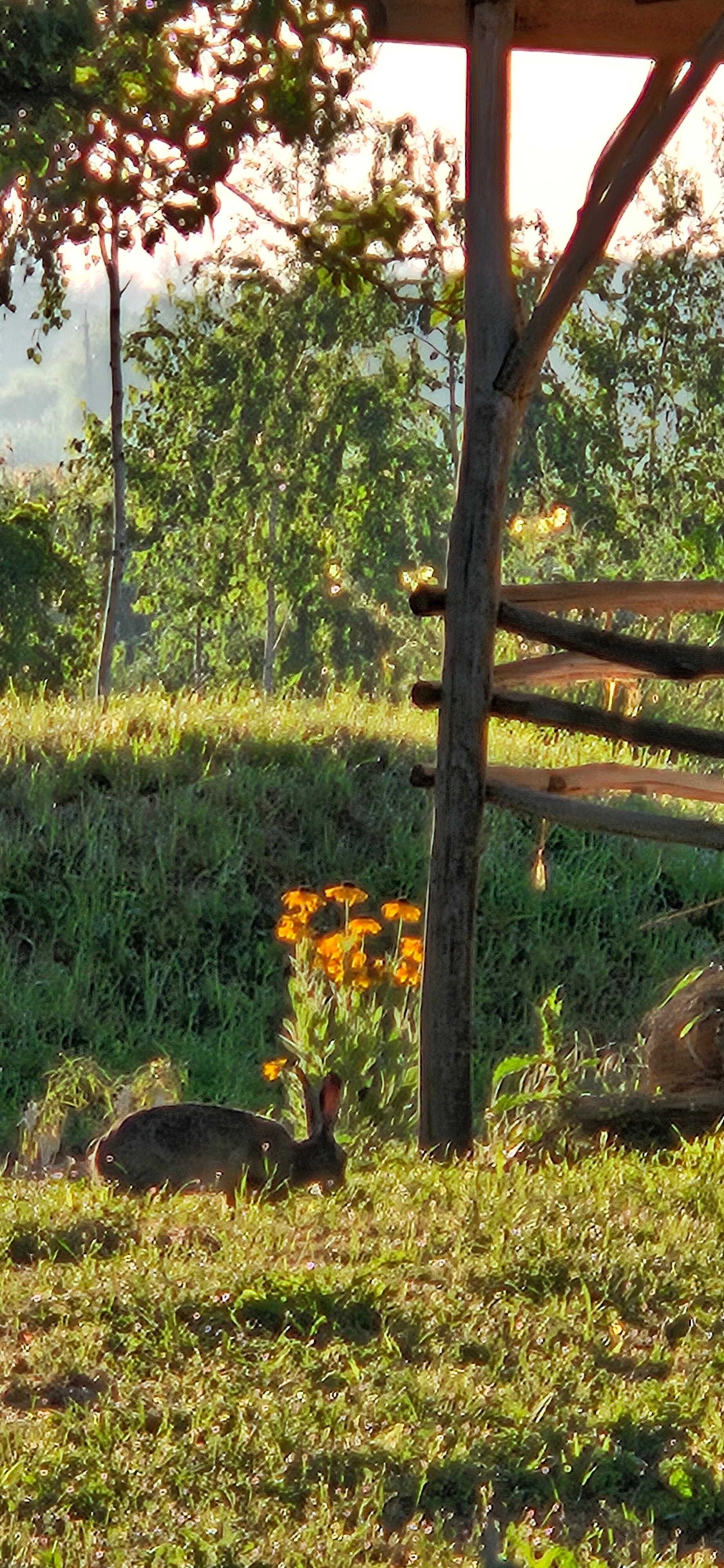 Фото Кубанский хуторок