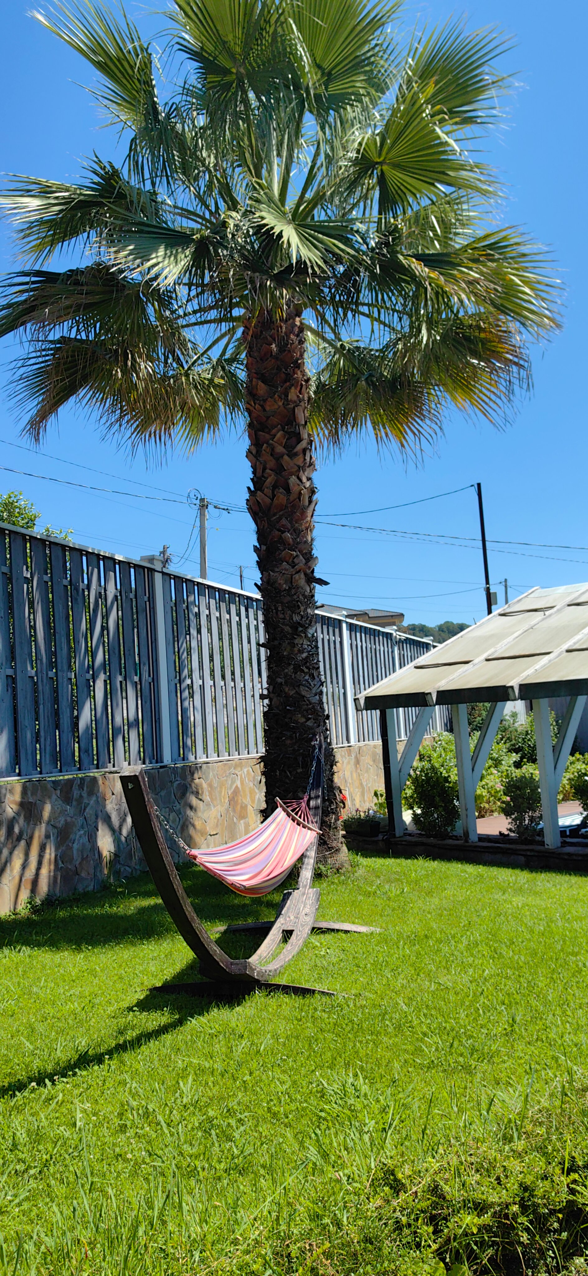 Фото Kalinin eco village