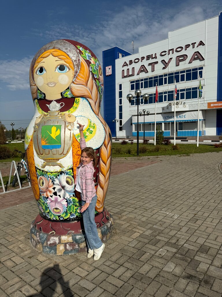 Спортивный комплекс Дворец спорта Шатура, Шатура, фото