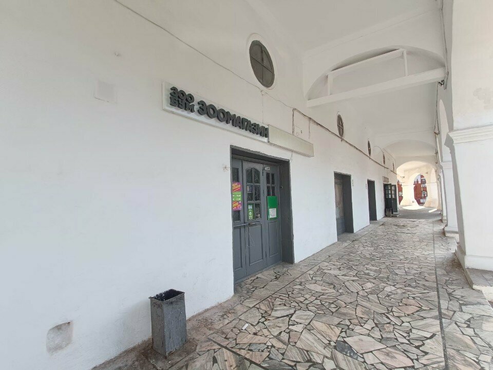 Pet shop Zoobum, Kostroma, photo