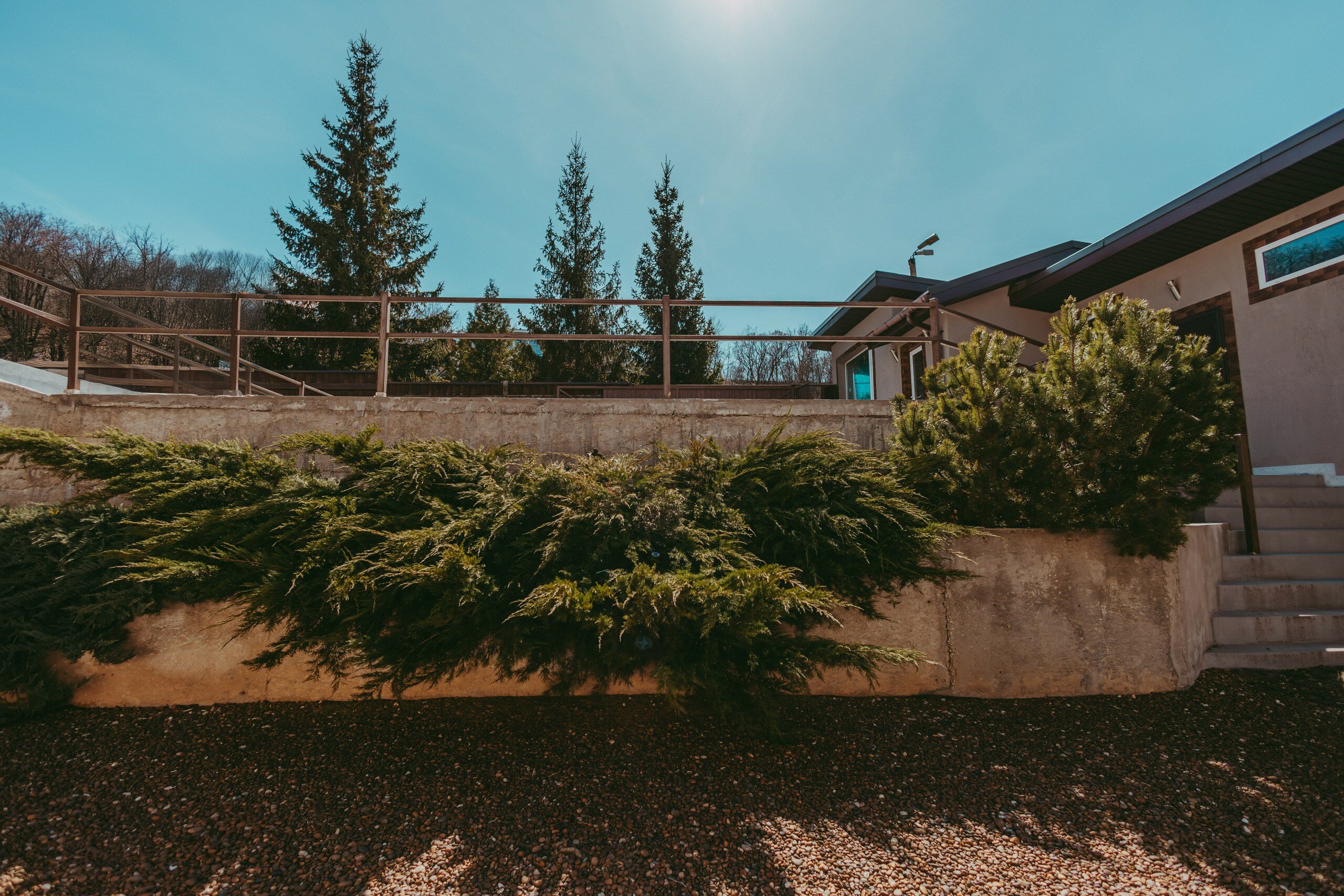 Фото Биография