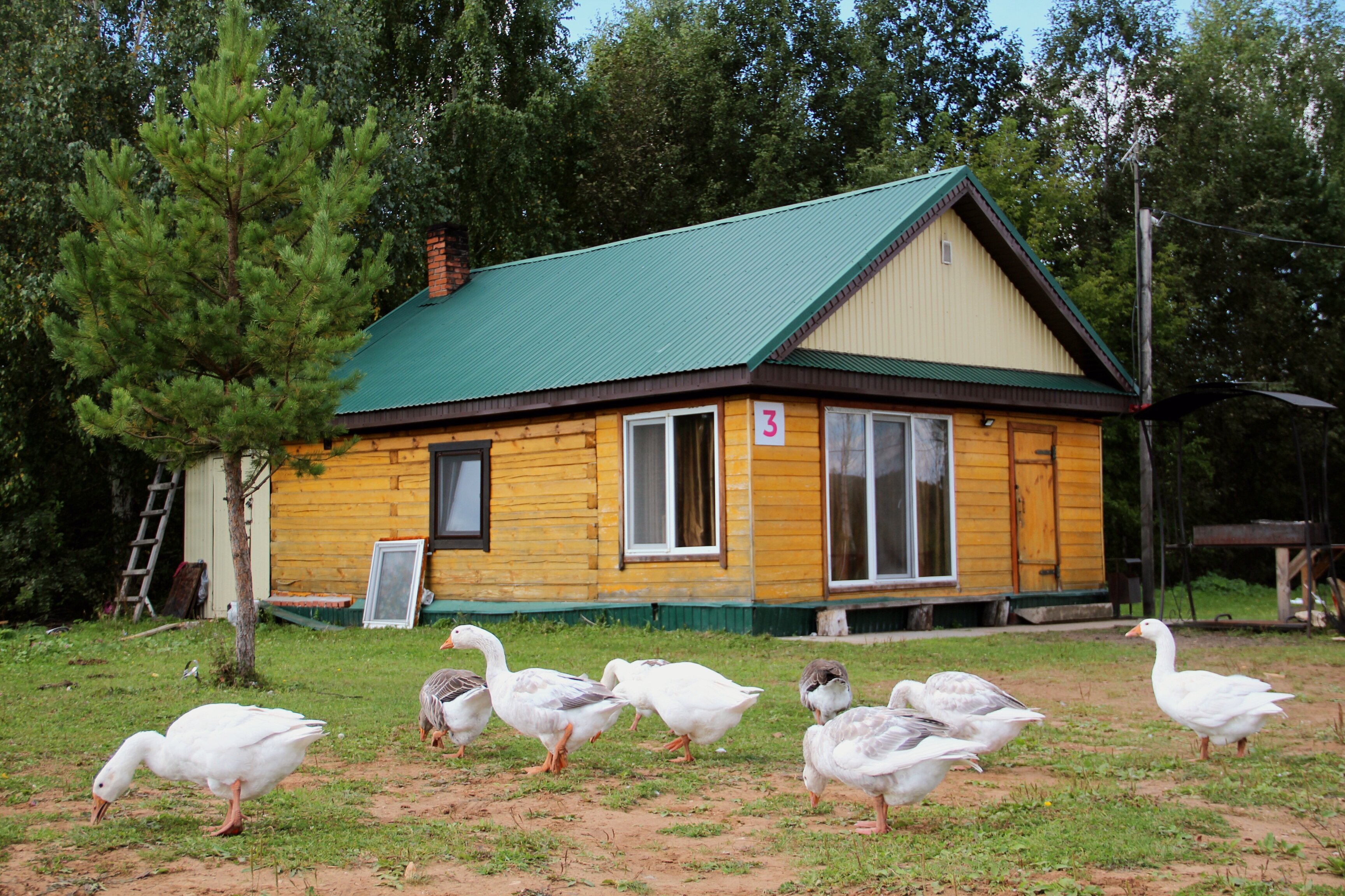 Фото Поместье Конная эстетика