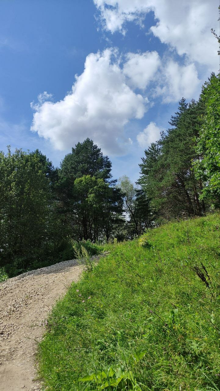 Фото Лисица