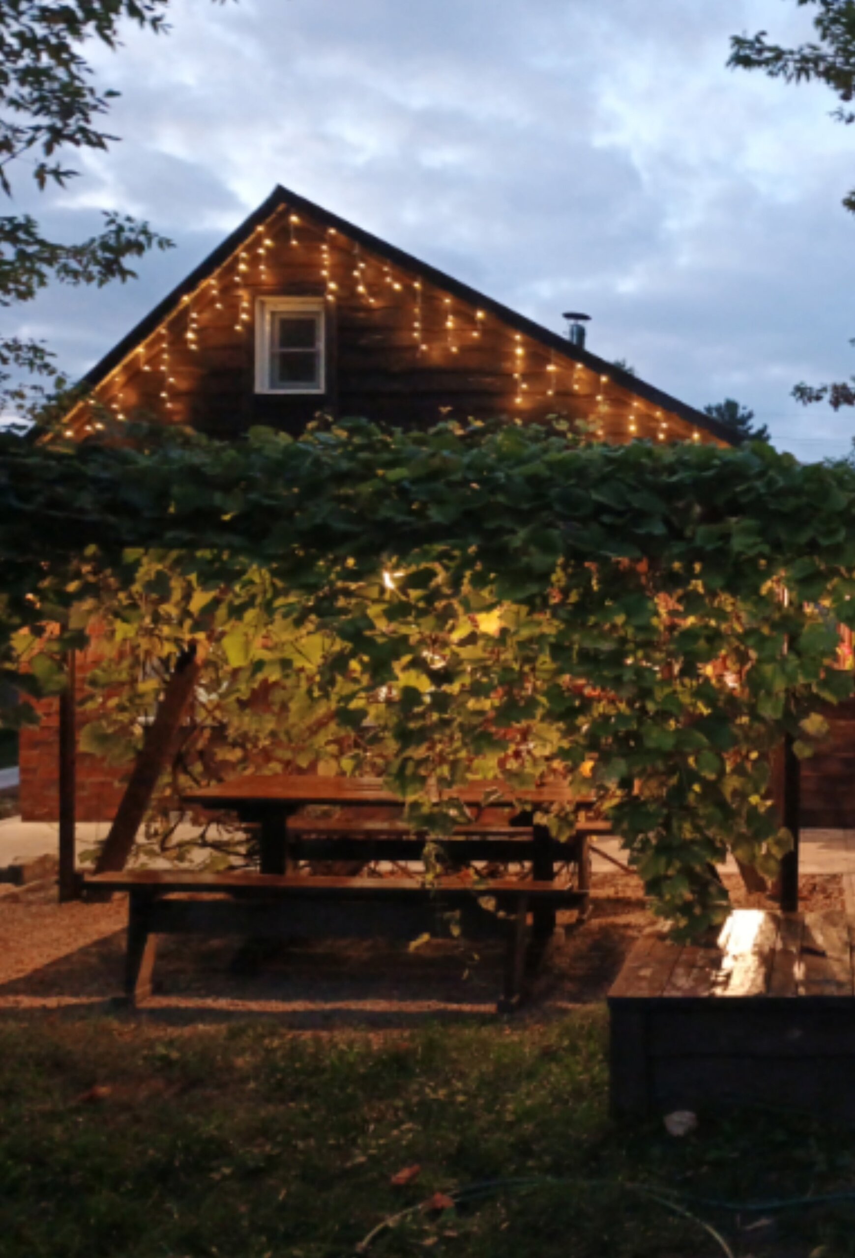 Фото Стрела