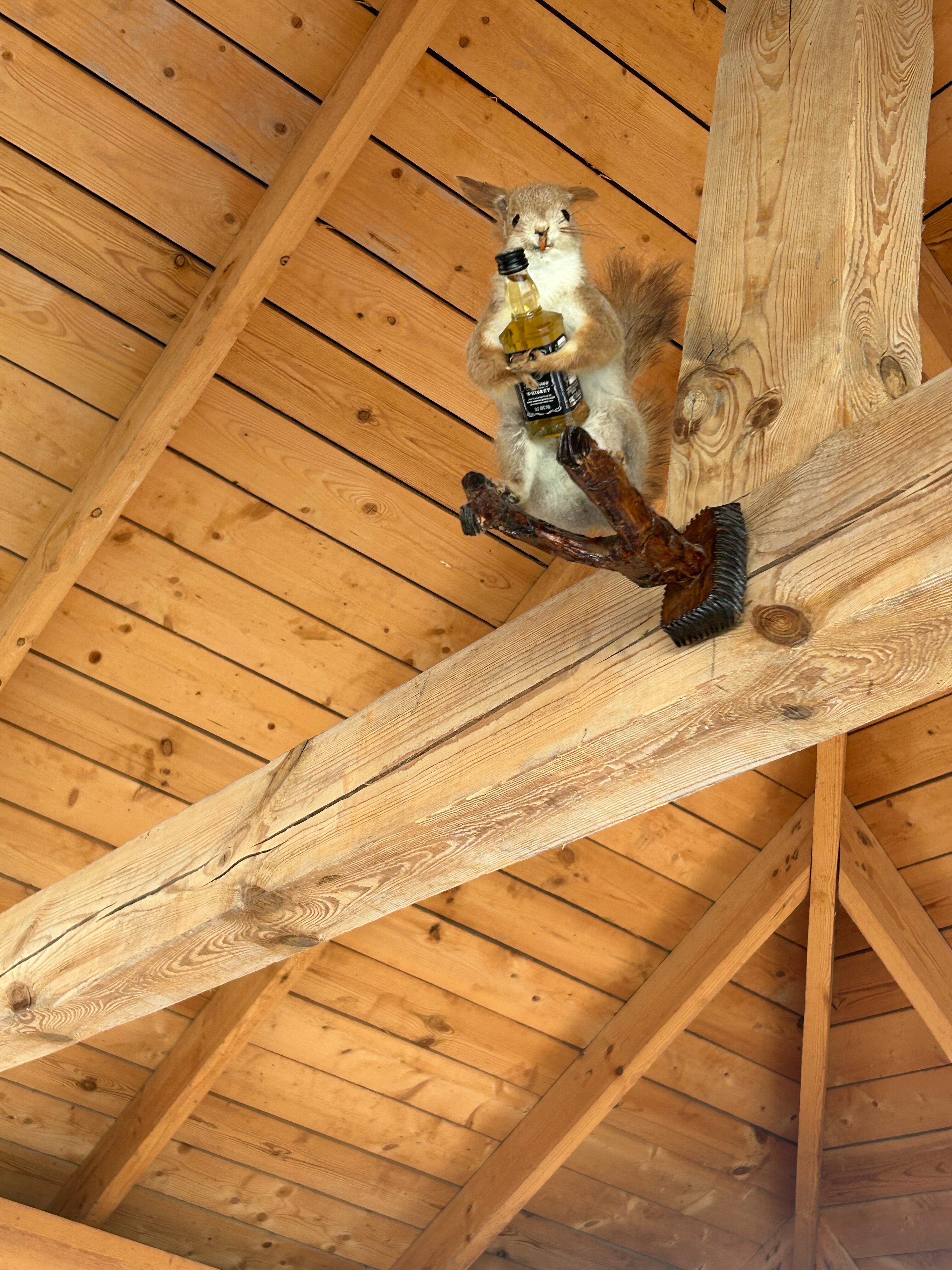 Фото Белая Лилия