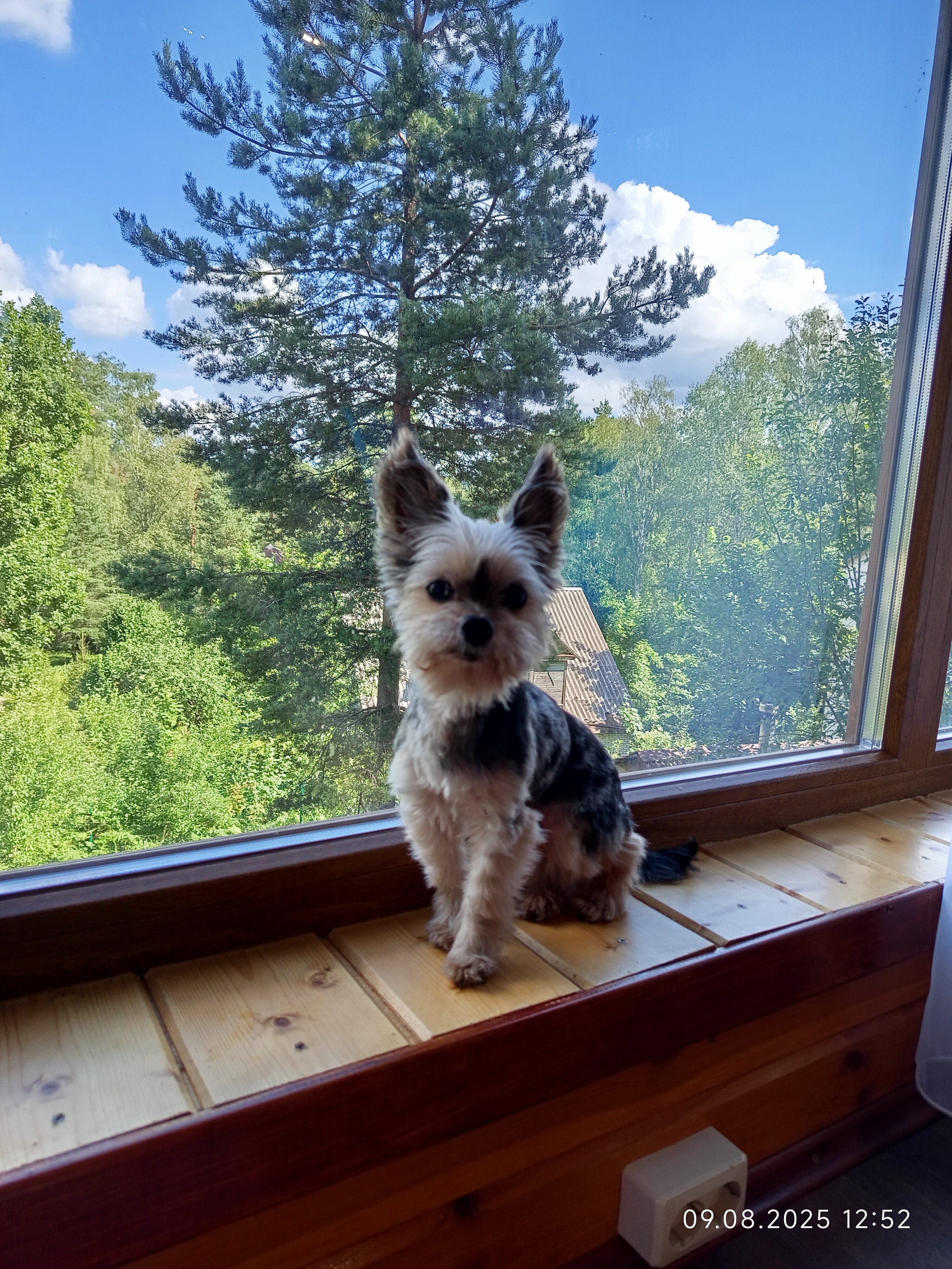 Фото Домик на горке