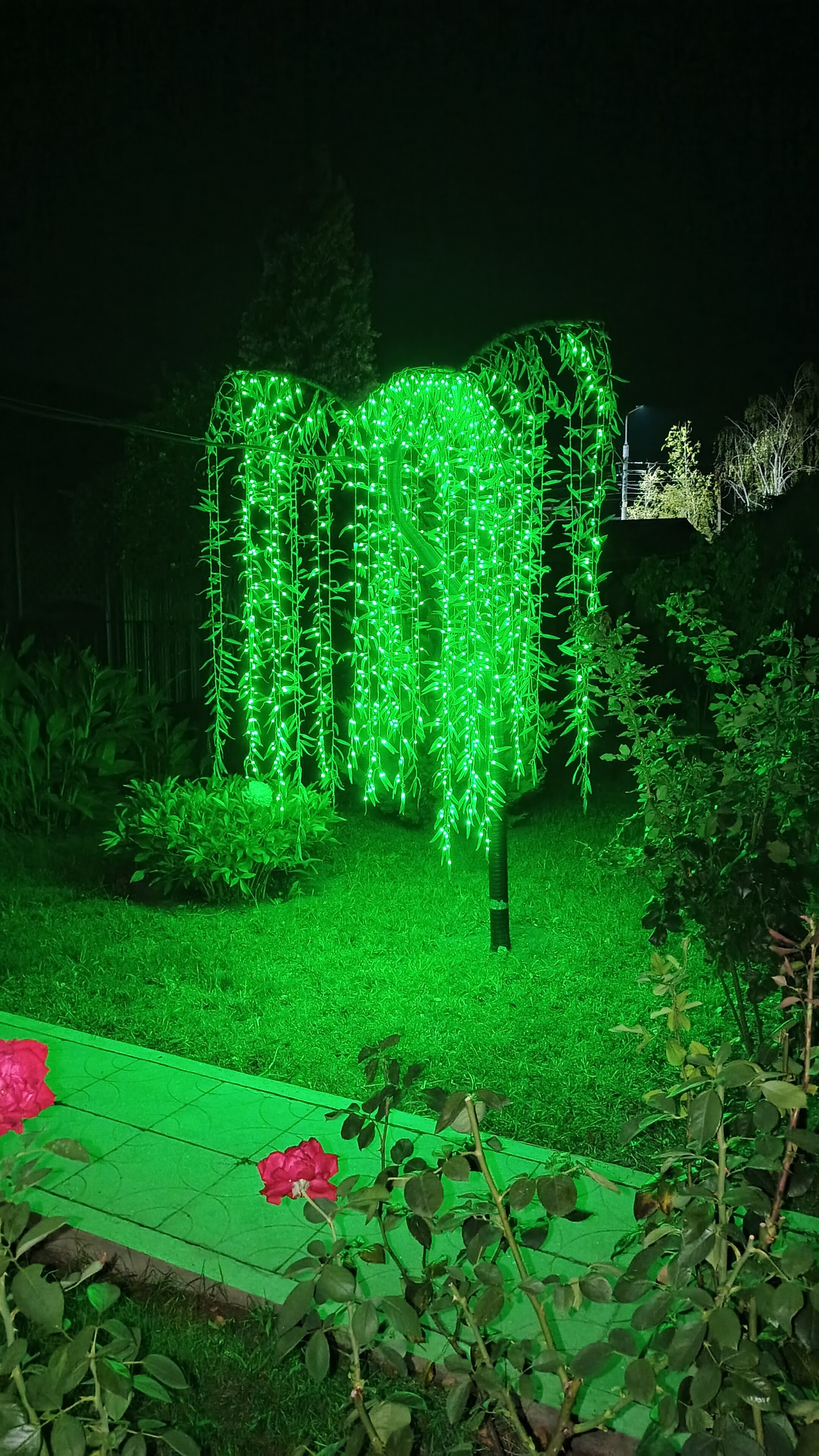 Фото База отдыха Крестьянское подворье