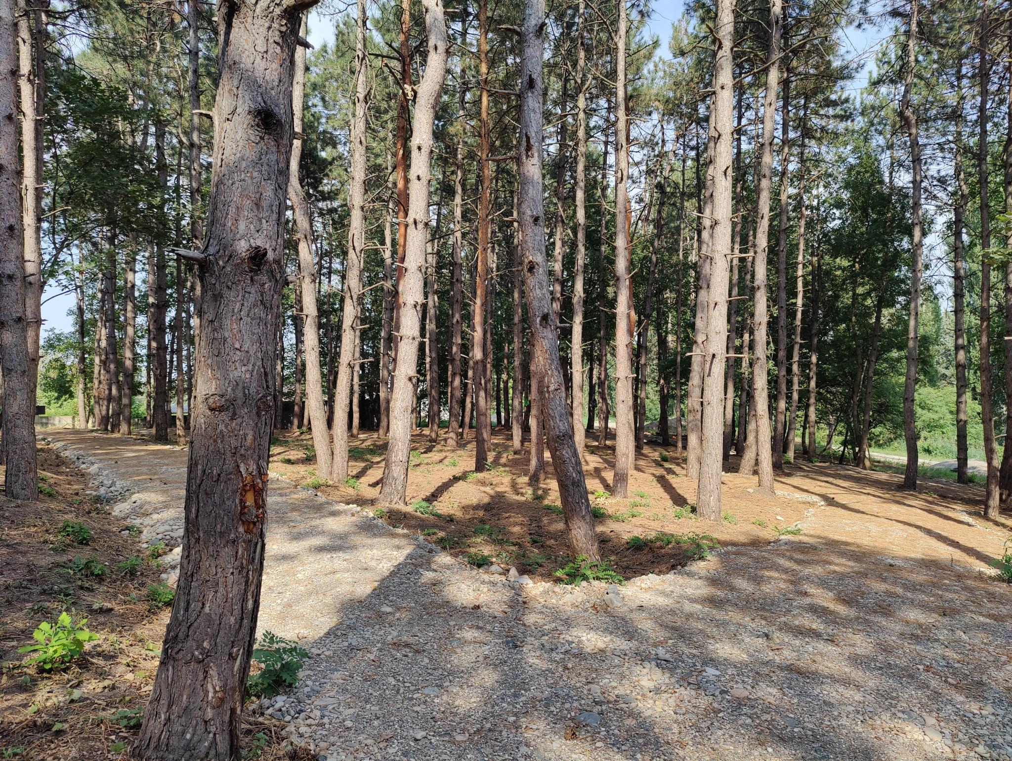 Фото Миррос Montis MediSpa Отель Пятигорск