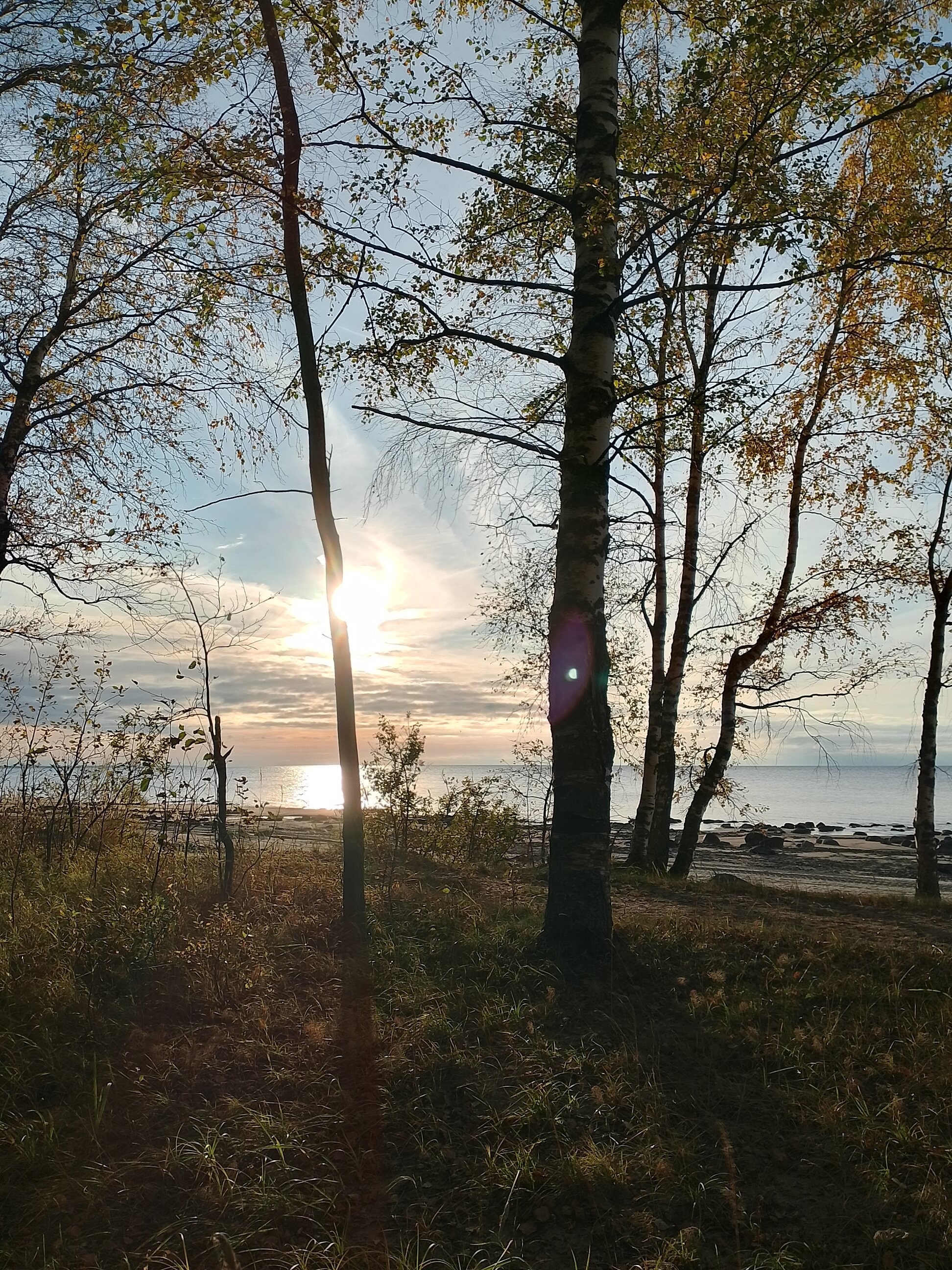 Фото Бухта Морская