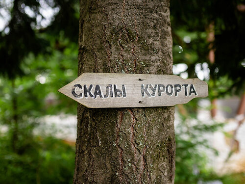 Санаторий Санаторий Нижние Серги в Нижних Сергах