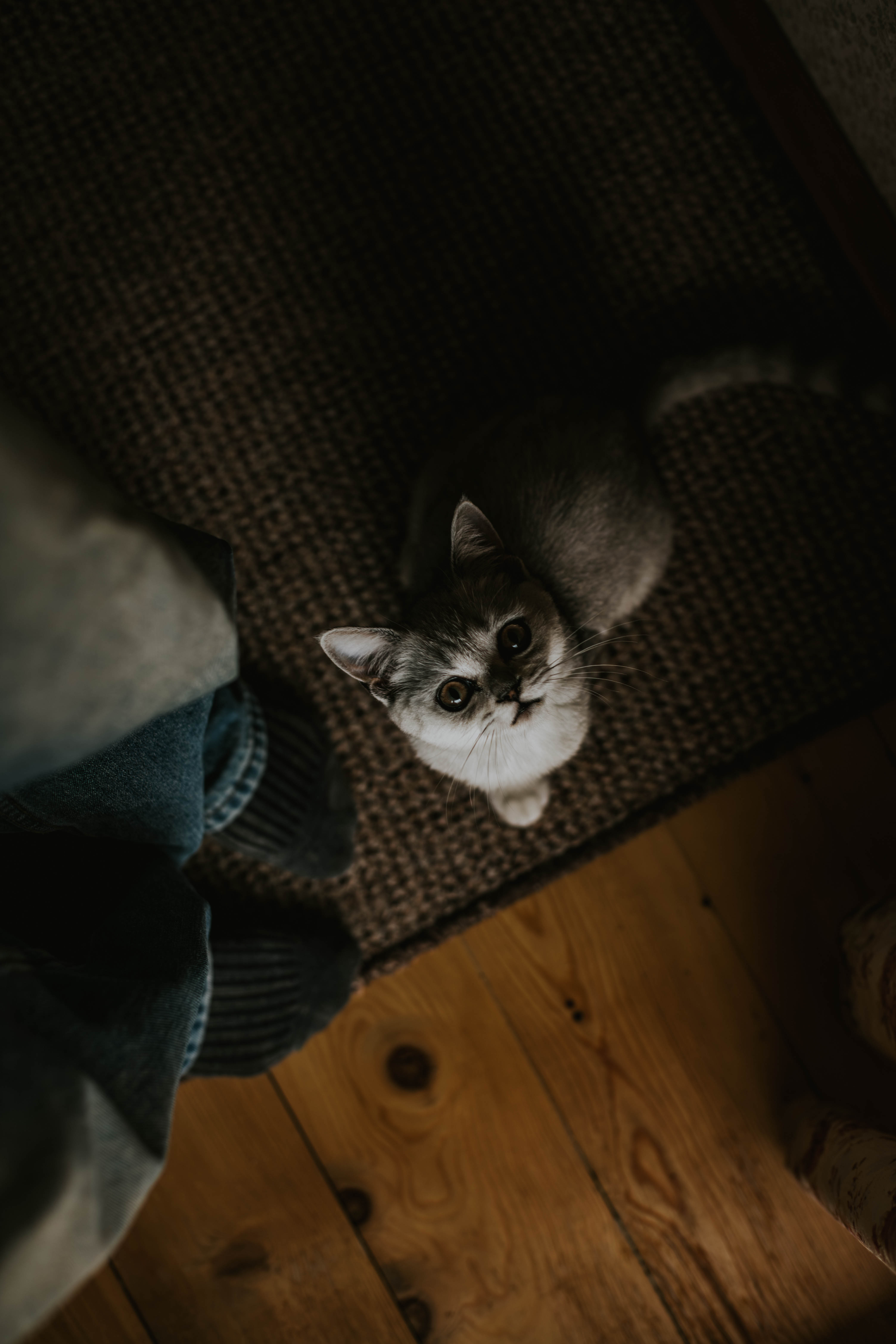 Фото Усадьба Затерянный мир