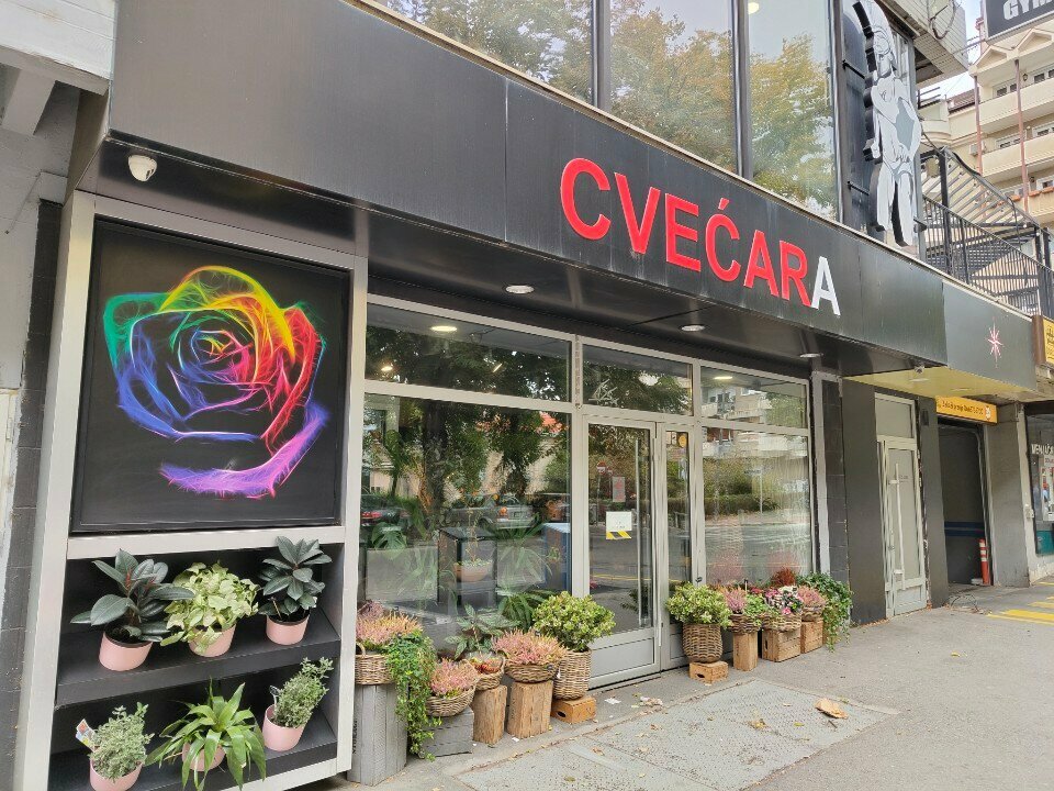 Flowers and bouquets delivery Kurs cvecara, Belgrade, photo