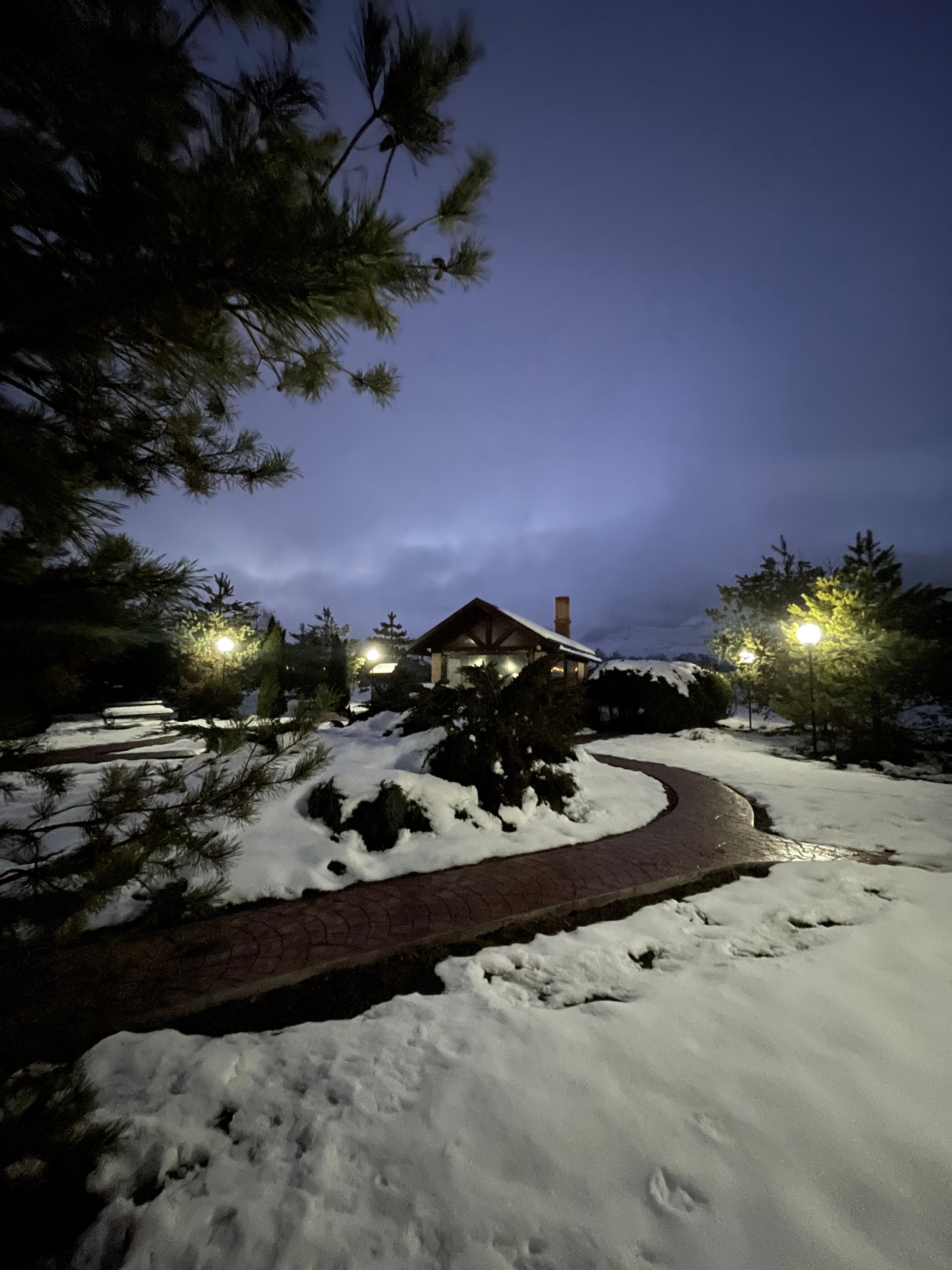 Фото Лисья нора