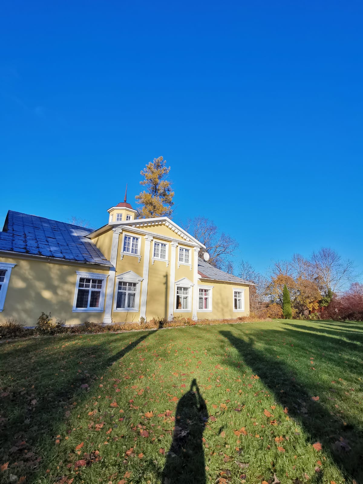 Фото Мишкина дача