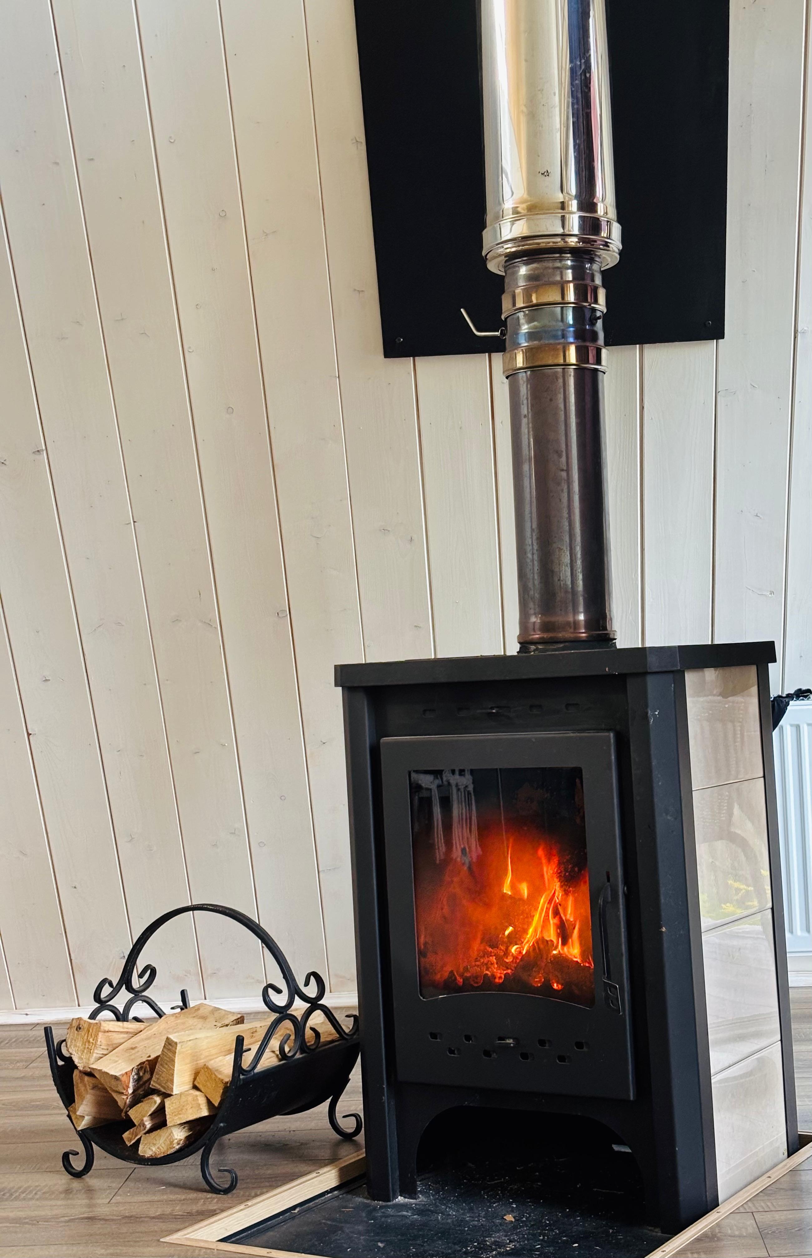 Фото Forest life