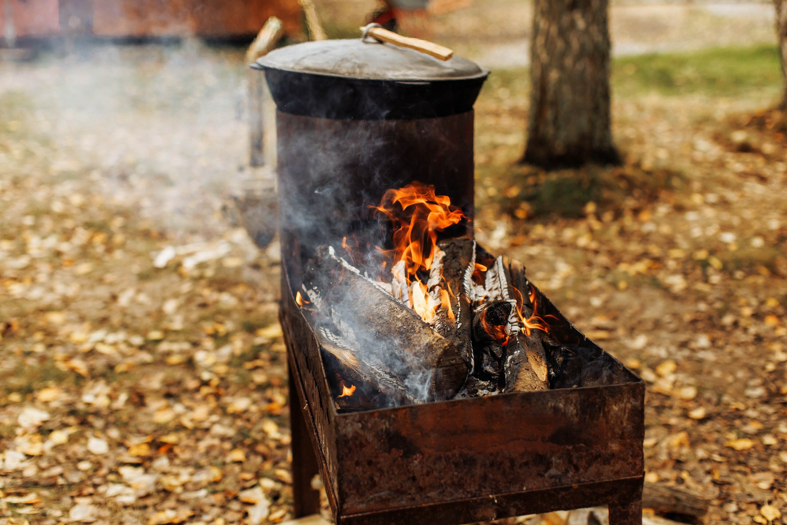 Фото Усадьба Кожиных