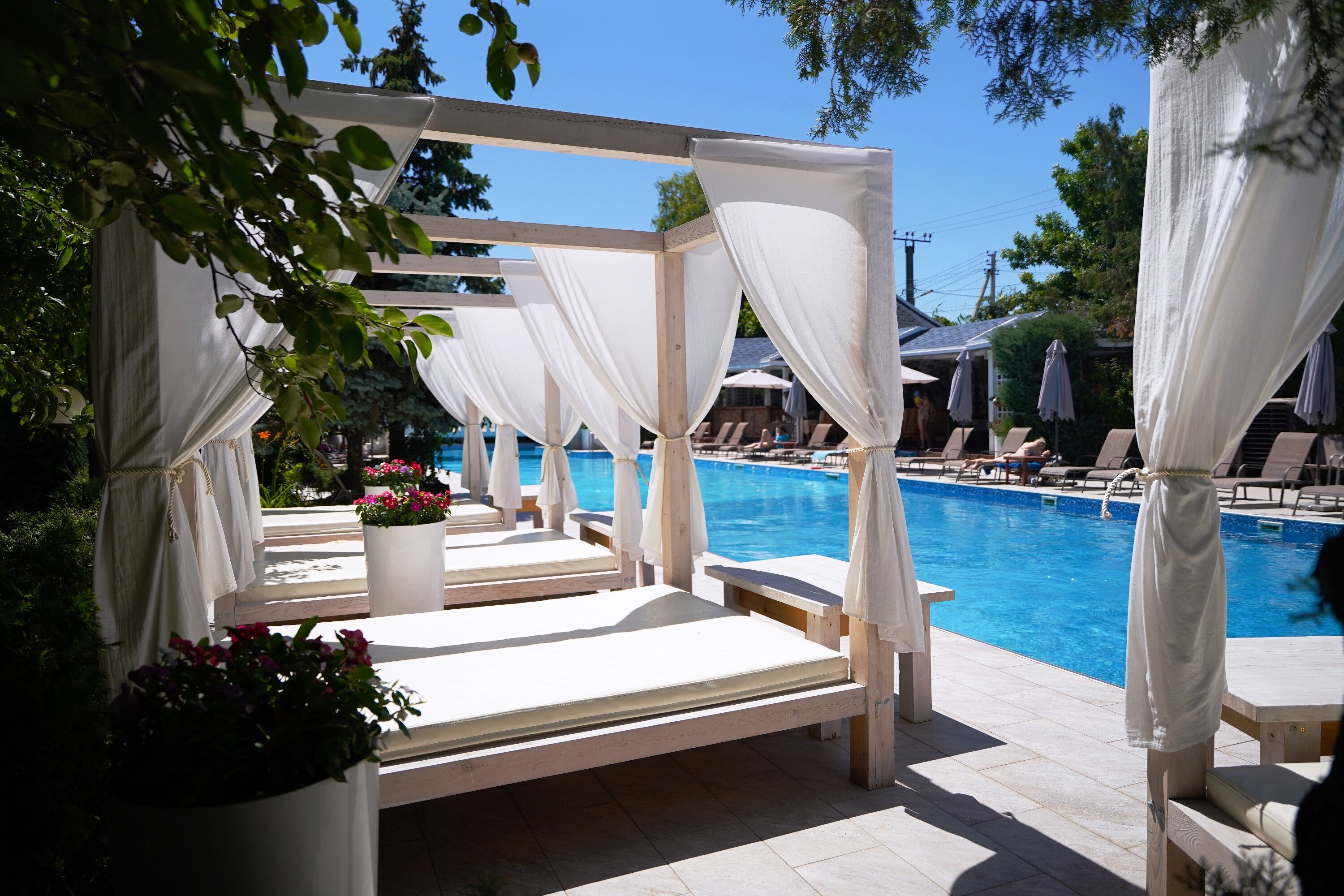 Фото Александр