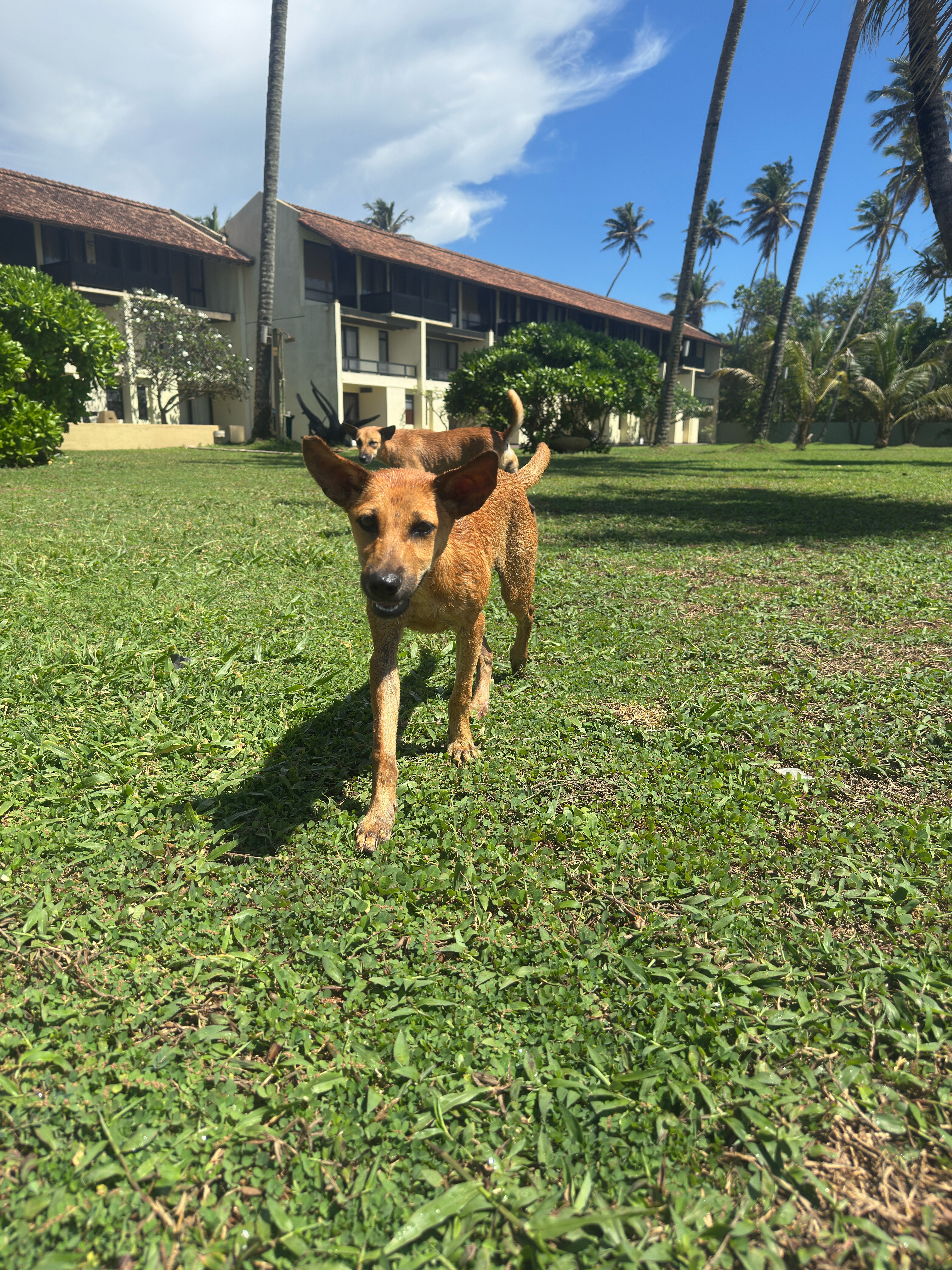 Фото Grand Beach