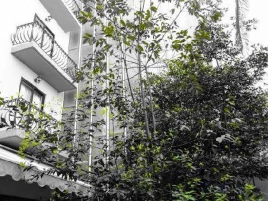 Фото Hotel Kennedy Nova