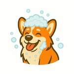 Дай лапу (vulica Prawdy, 61к2), pet salon