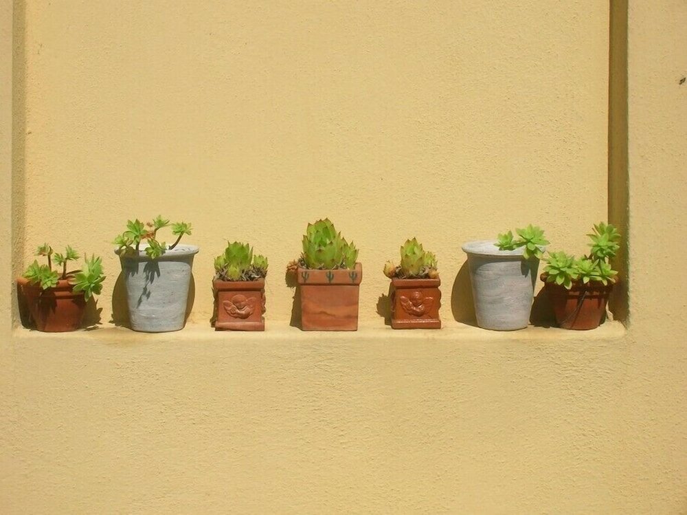 Фото Villa Mustafà