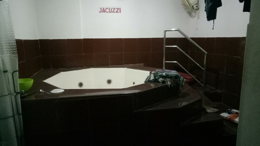 Фото Hotel Moti Mahal