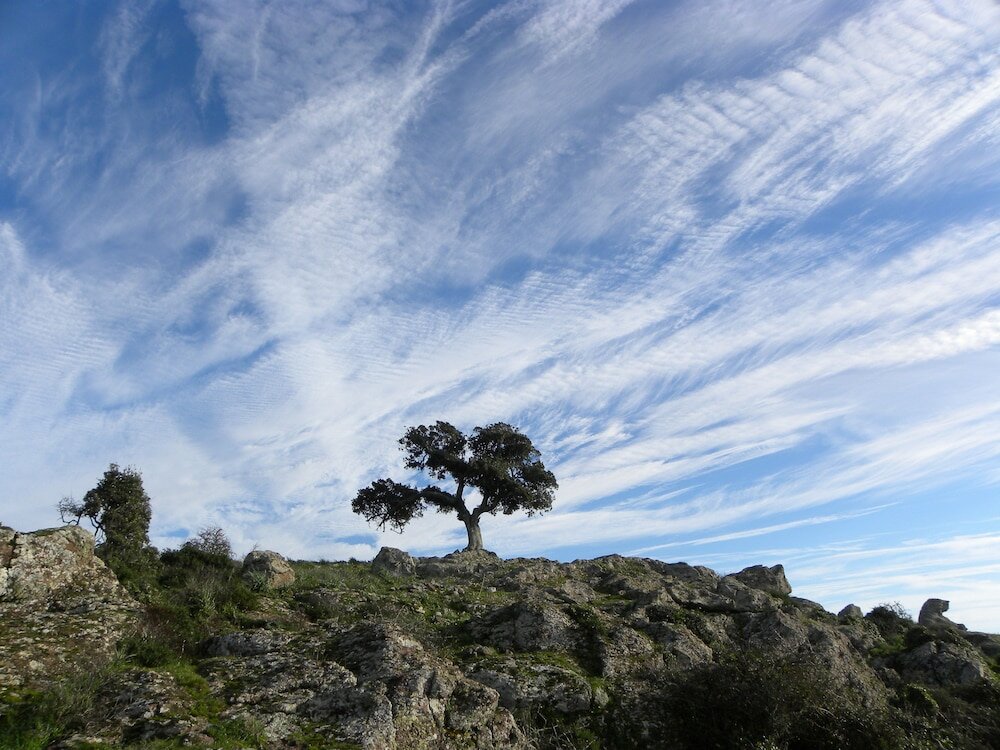 Фото B&b Pessighette Dimora di Campagna