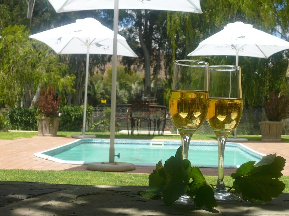 Фото 17 on Bird Guest House