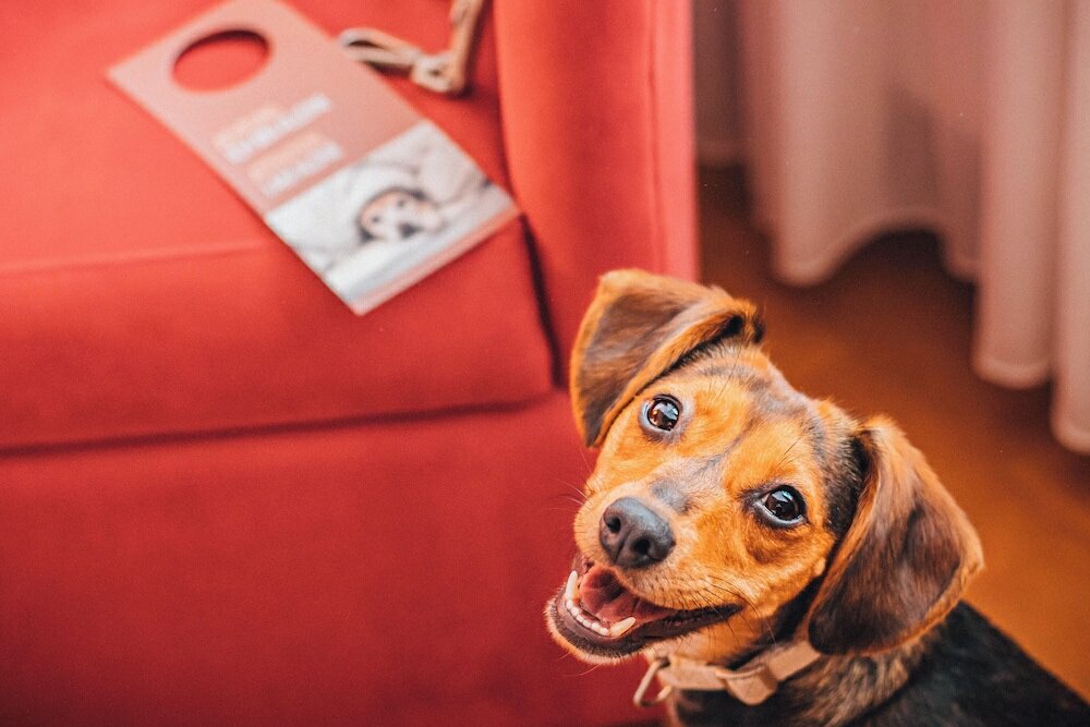 Фото Cph Parkhotel Wolfsburg