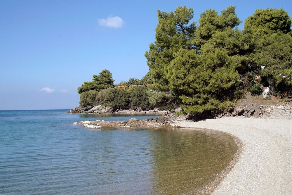 Фото Alterra Vita