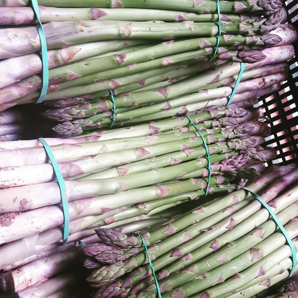 Фото Miguel de Cervantes